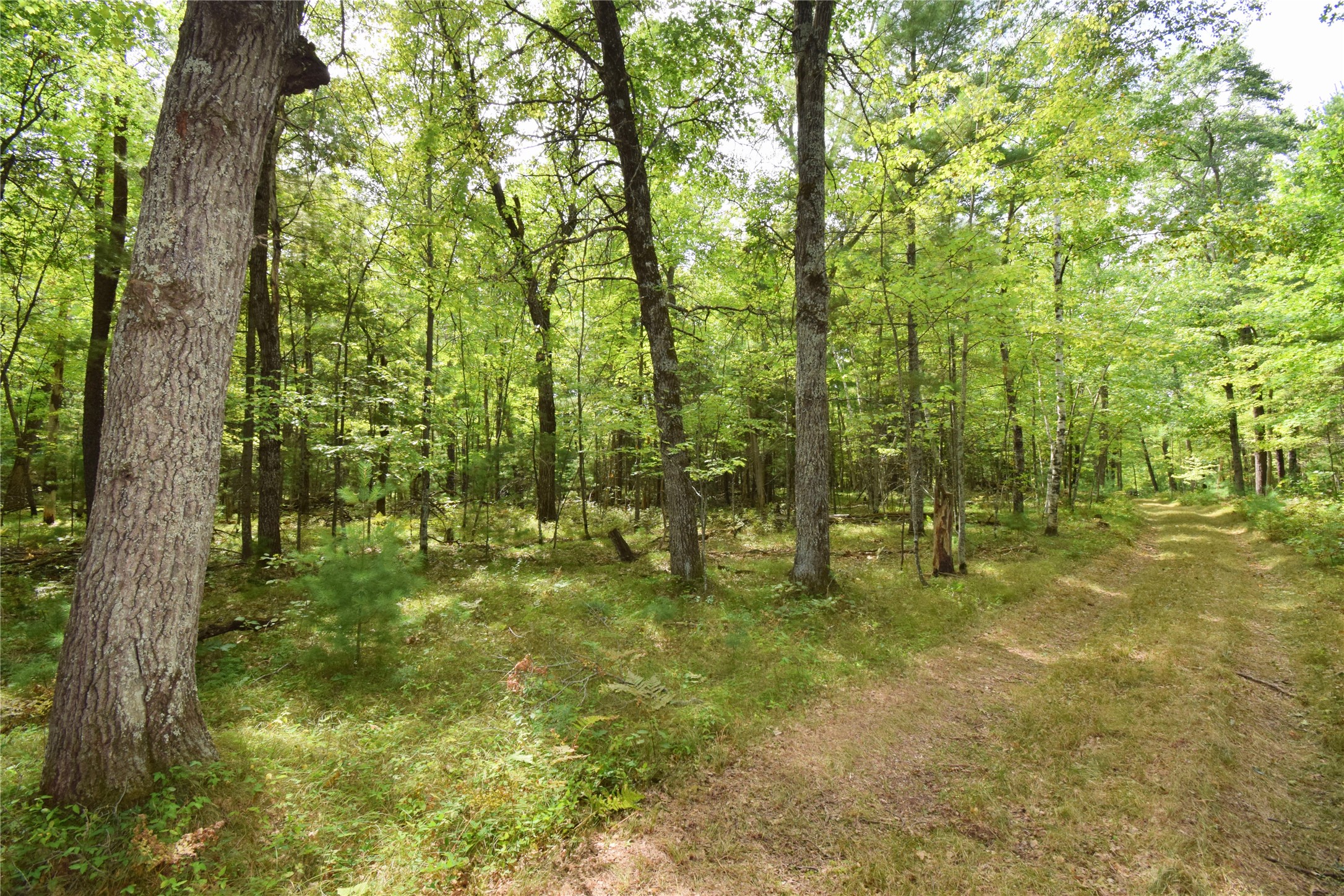 28206 Pardun Road Property Photo 40