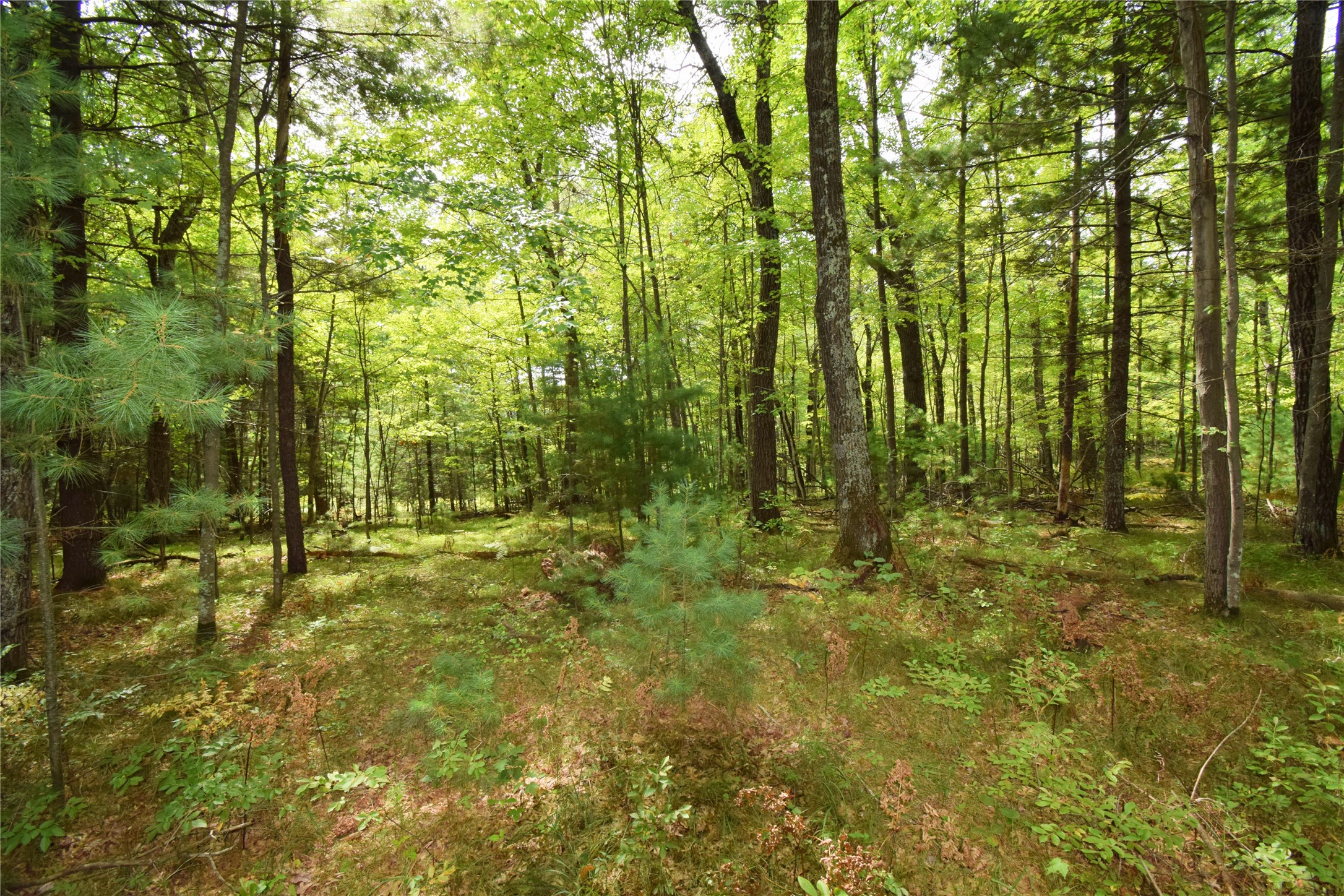 28206 Pardun Road Property Photo 41