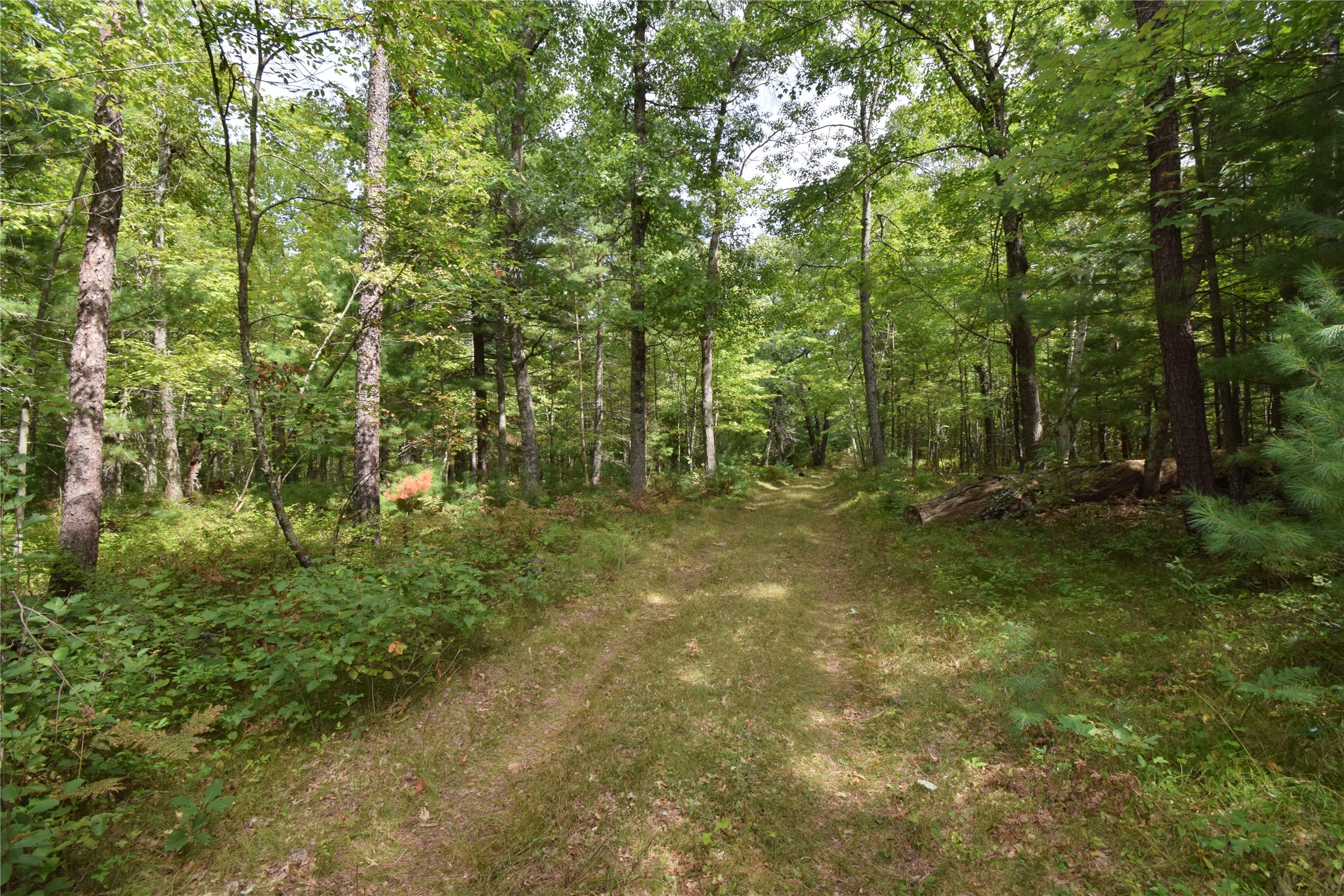 28206 Pardun Road Property Photo 42