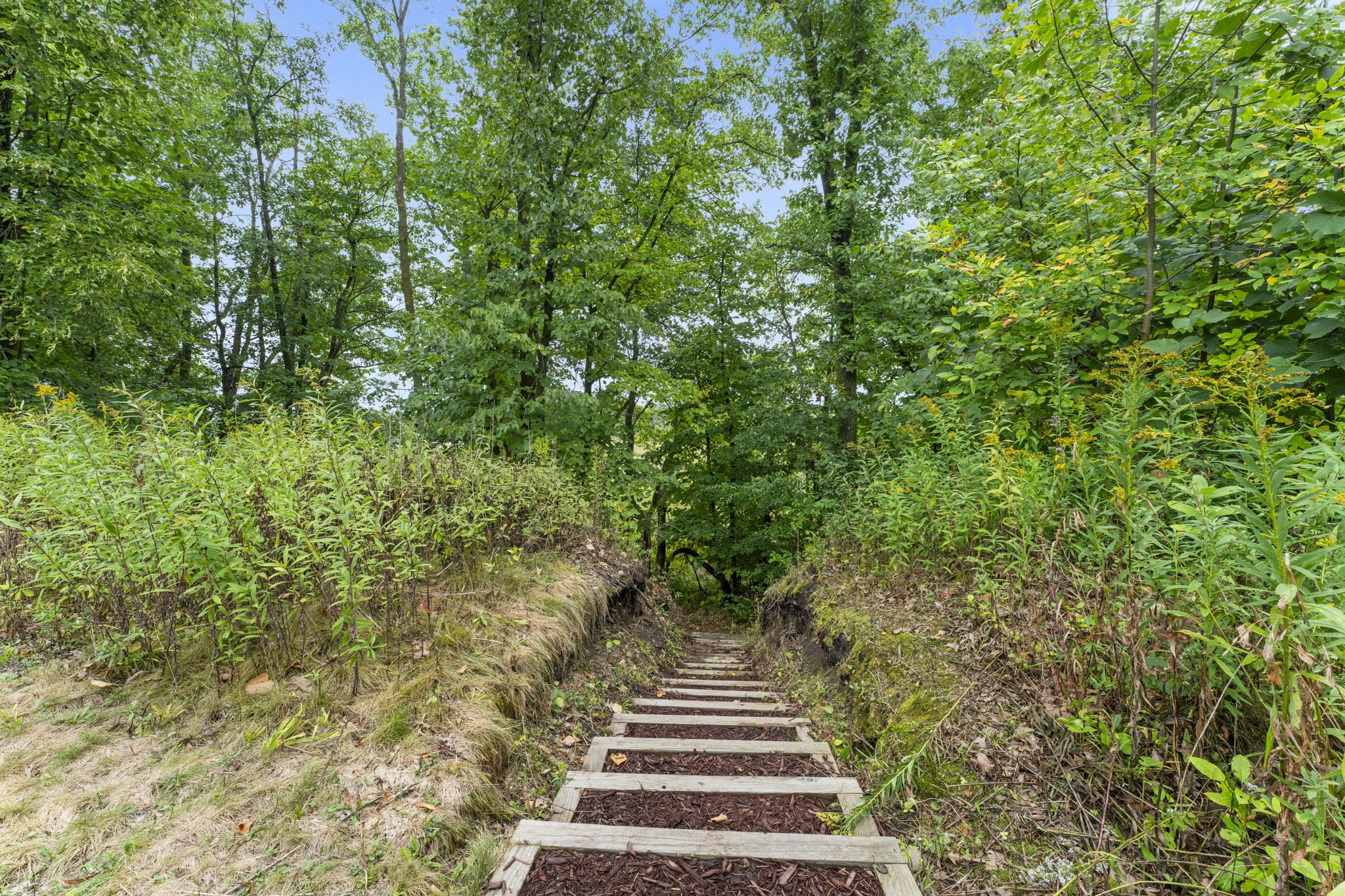 1604941 Property Photo 24