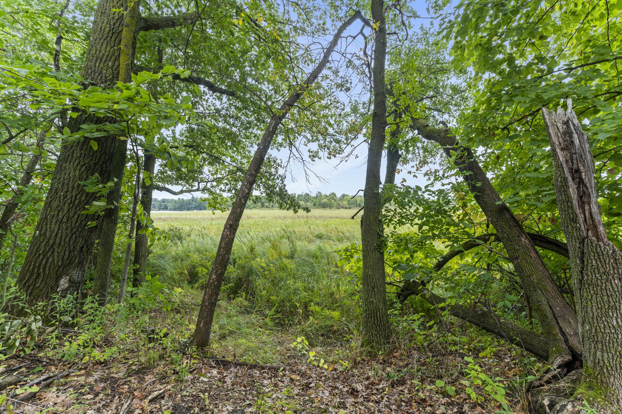 1604941 Property Photo 25