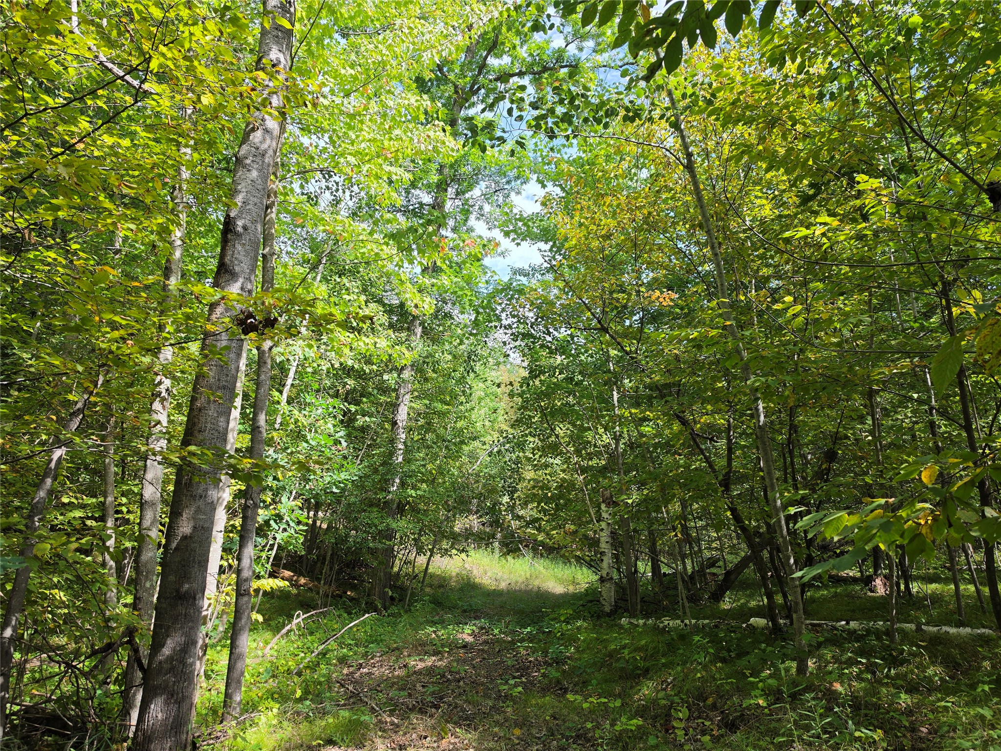 7183 Fremsted Road Property Photo 4
