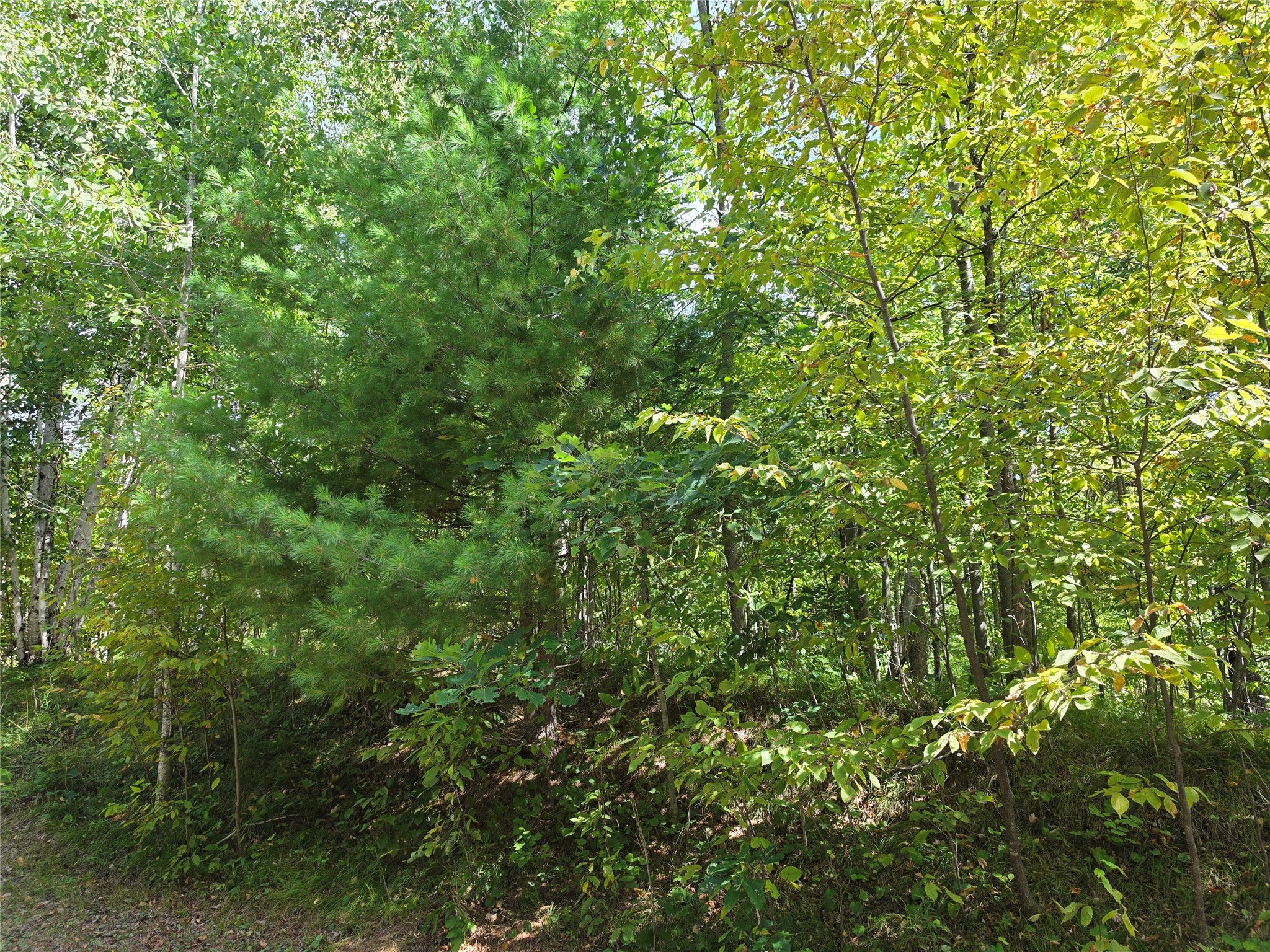 7183 Fremsted Road Property Photo 7