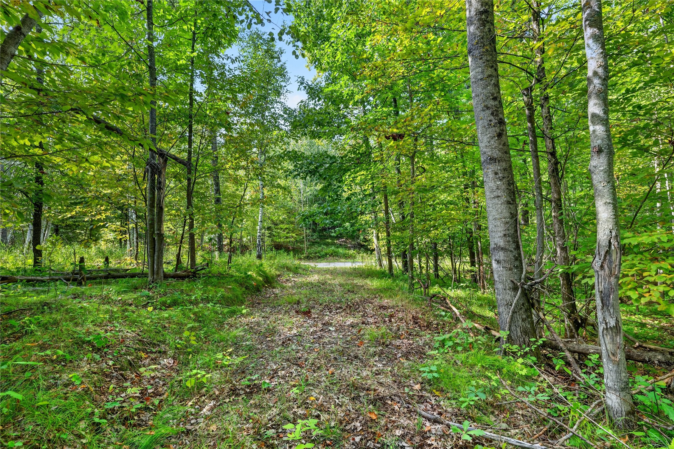 7183 Fremsted Road Property Photo 9