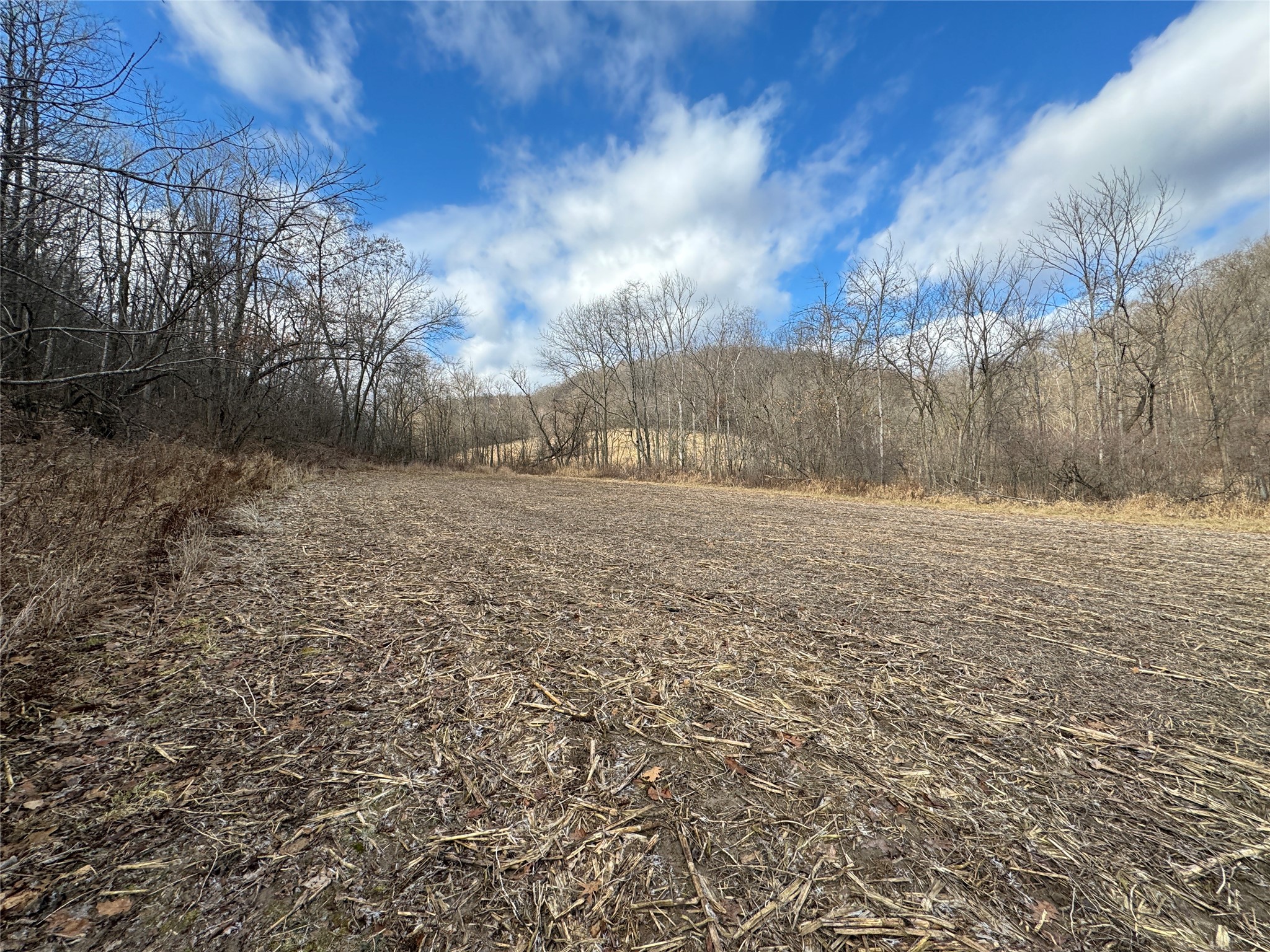 W1310 Earney Road Property Photo 25
