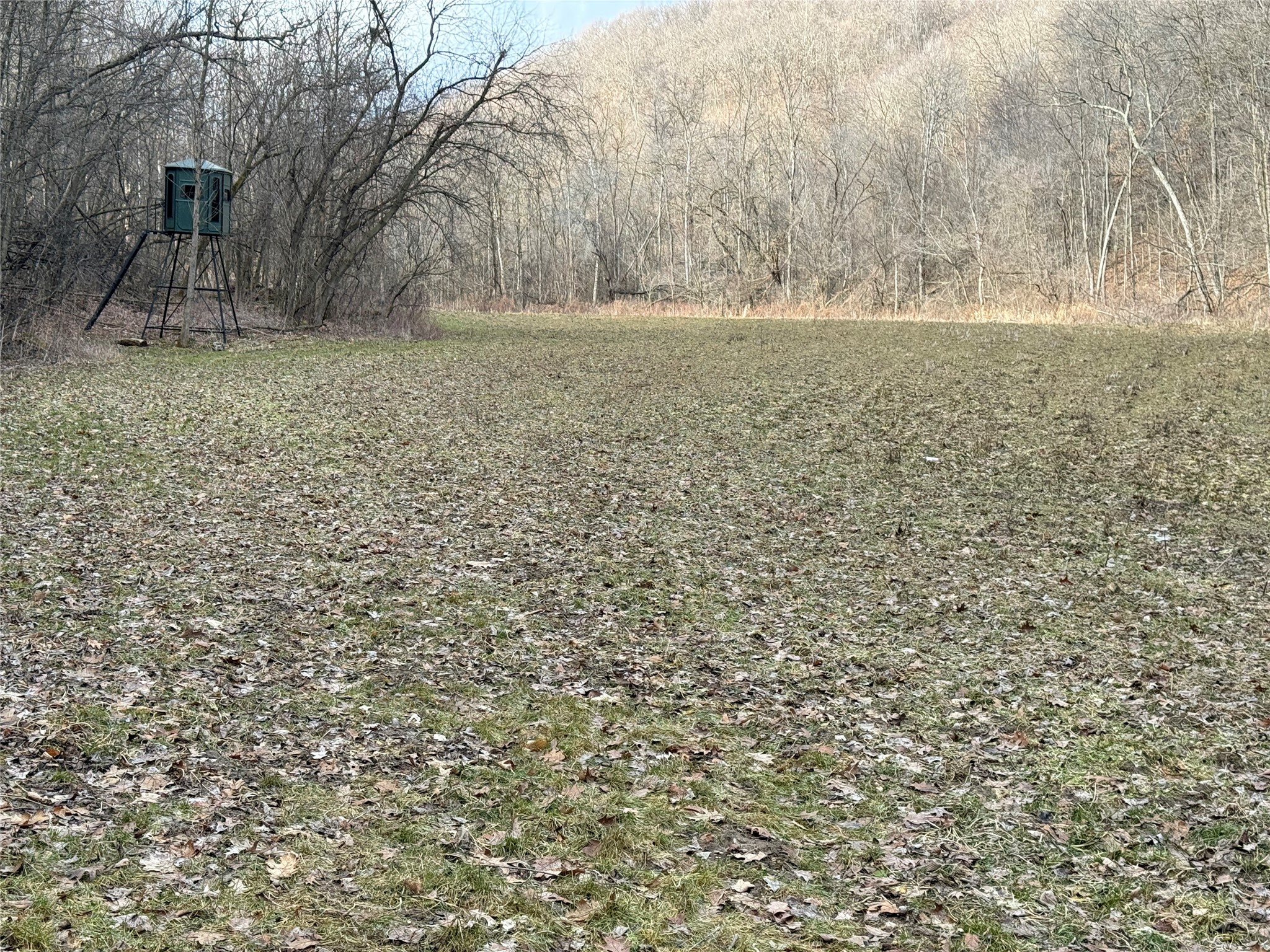 W1310 Earney Road Property Photo 26