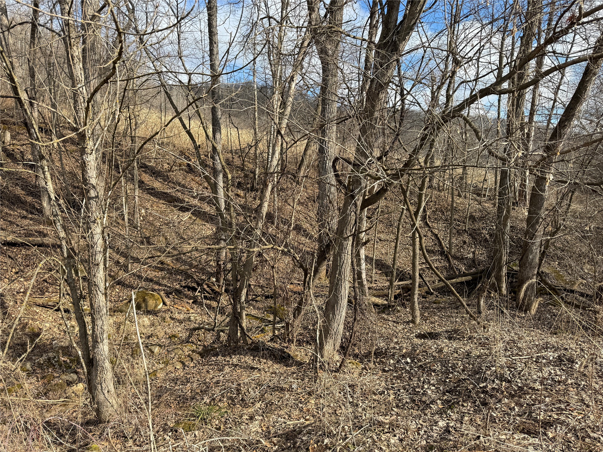 W1310 Earney Road Property Photo 27