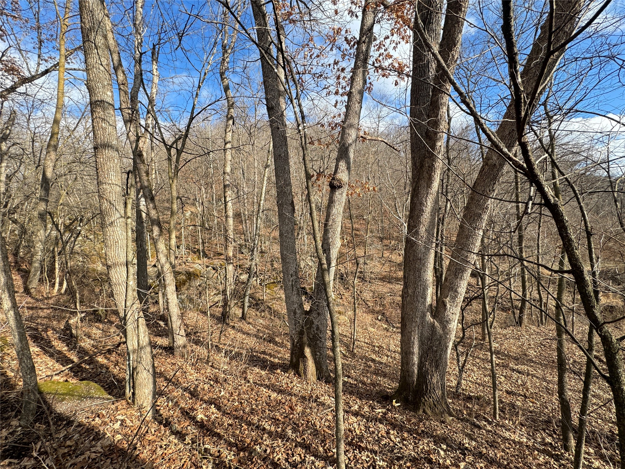 W1310 Earney Road Property Photo 30