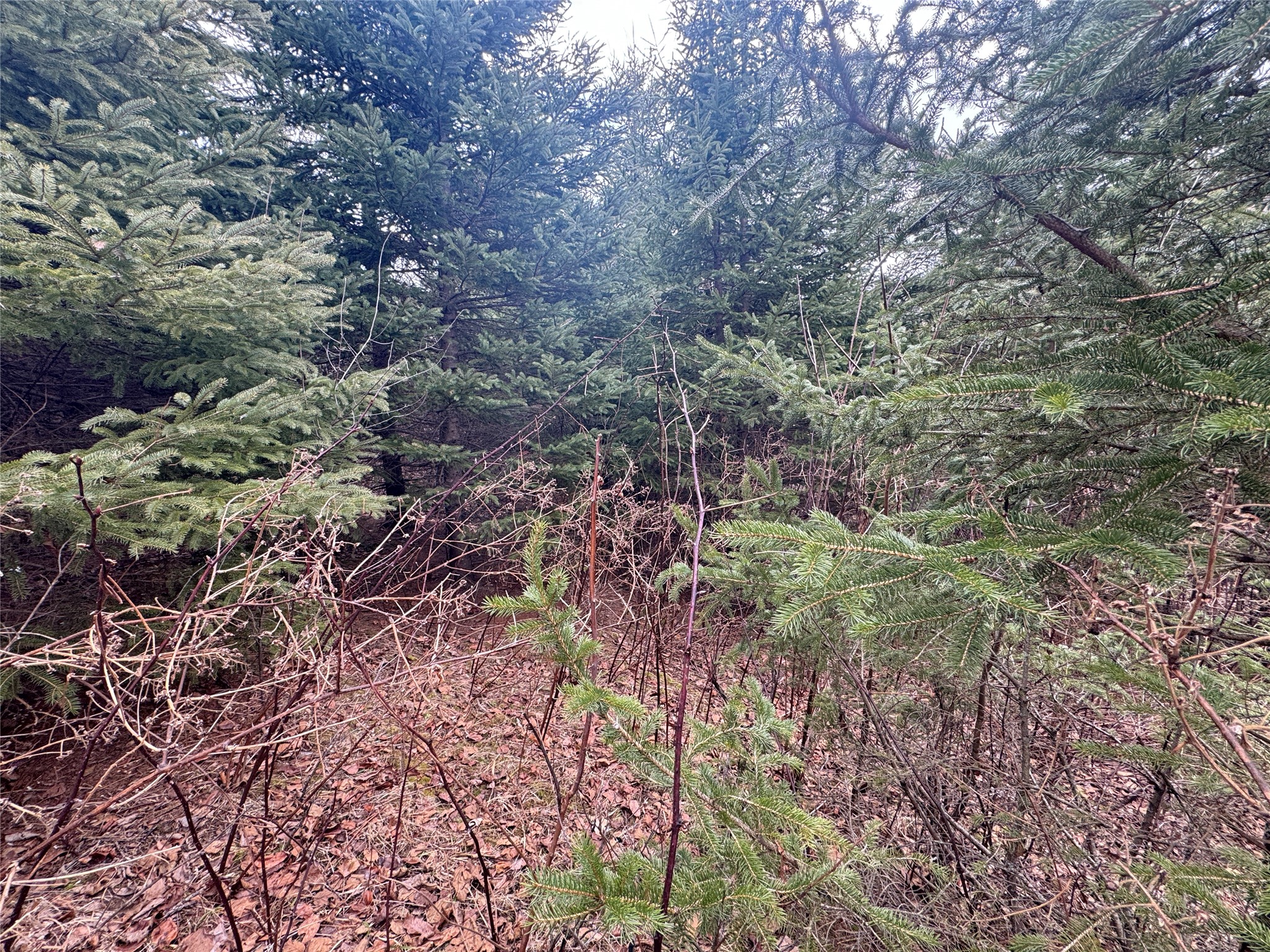 W1310 Earney Road Property Photo 34