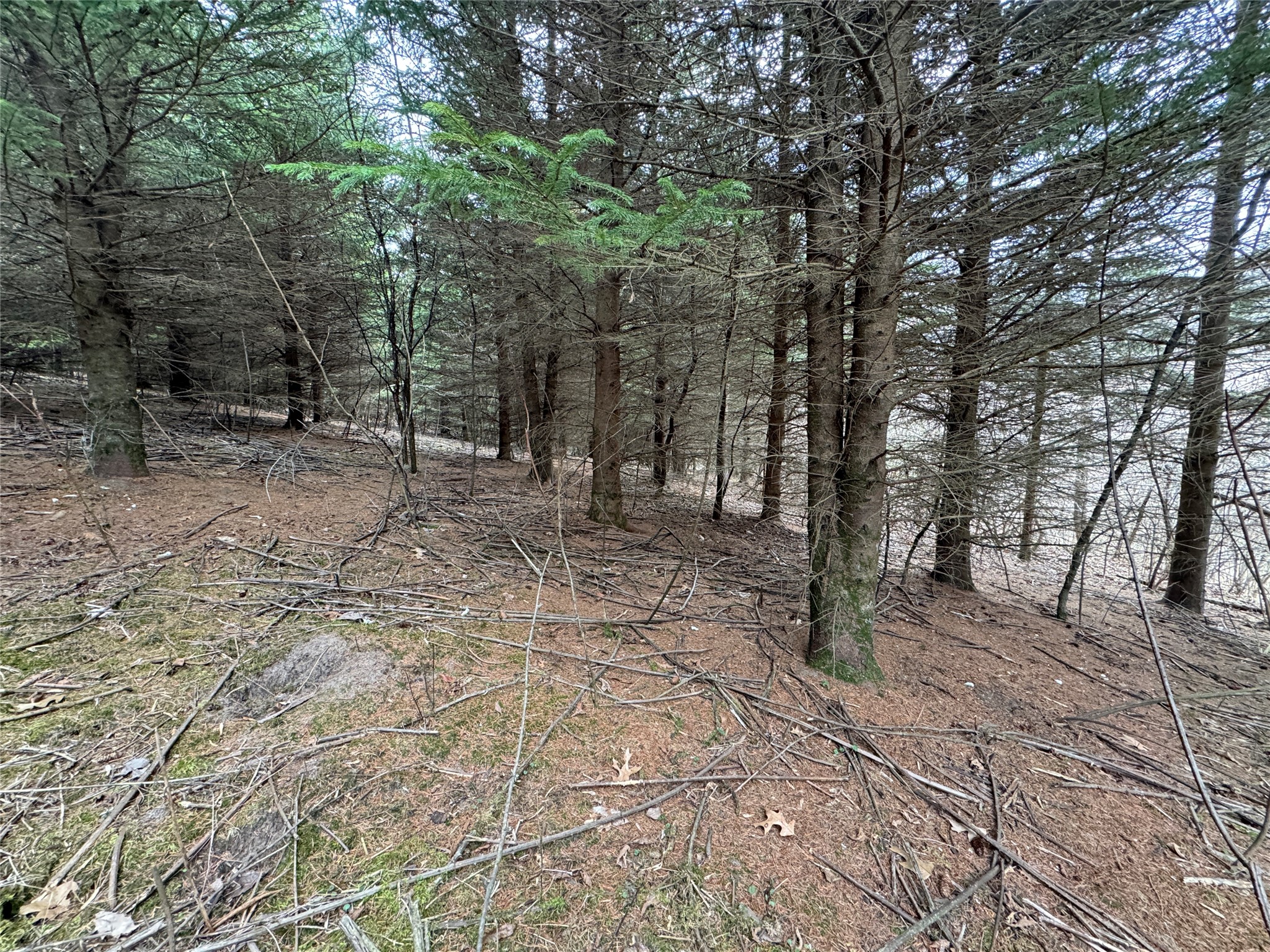 W1310 Earney Road Property Photo 35