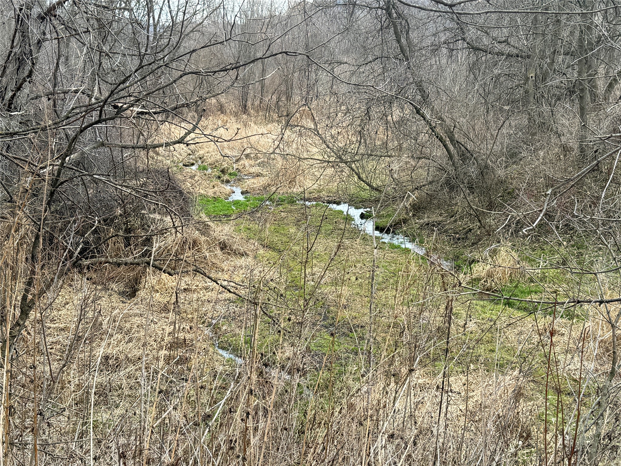 W1310 Earney Road Property Photo 39