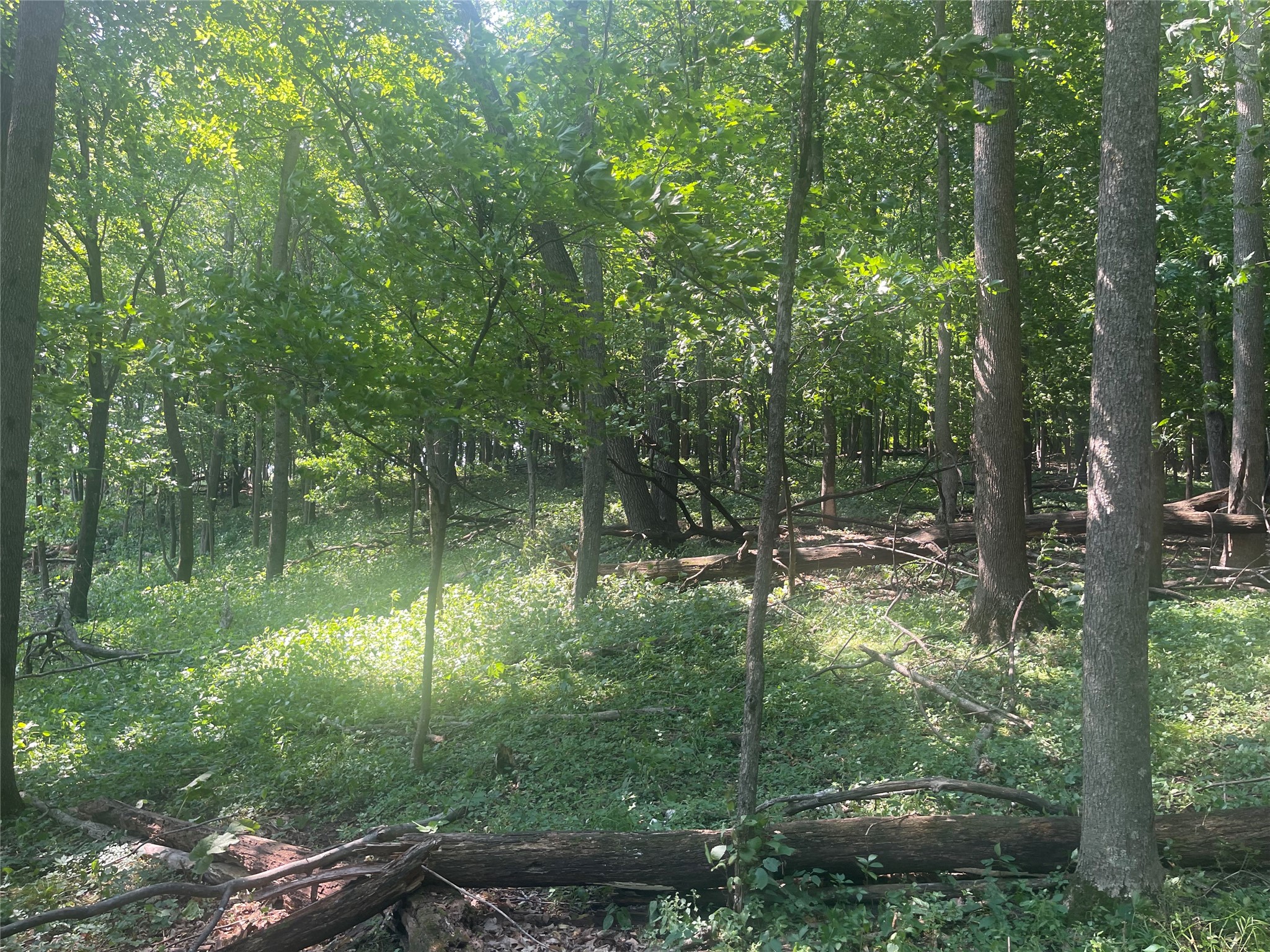 Tbd 190th Street Property Photo 2