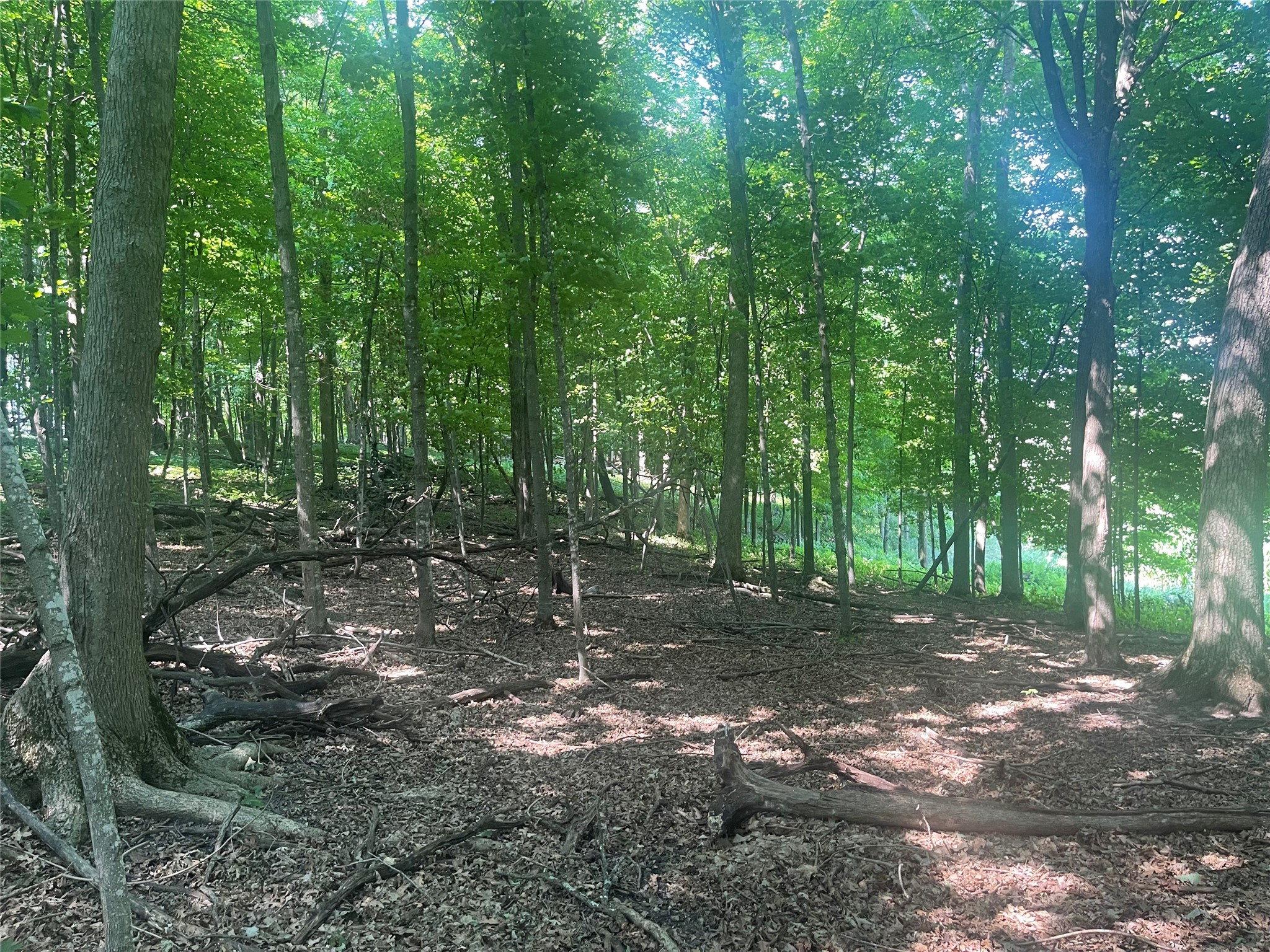 Tbd 190th Street Property Photo 4