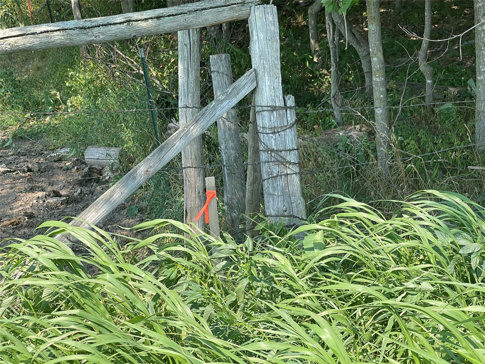 Tbd 190th Street Property Photo 12