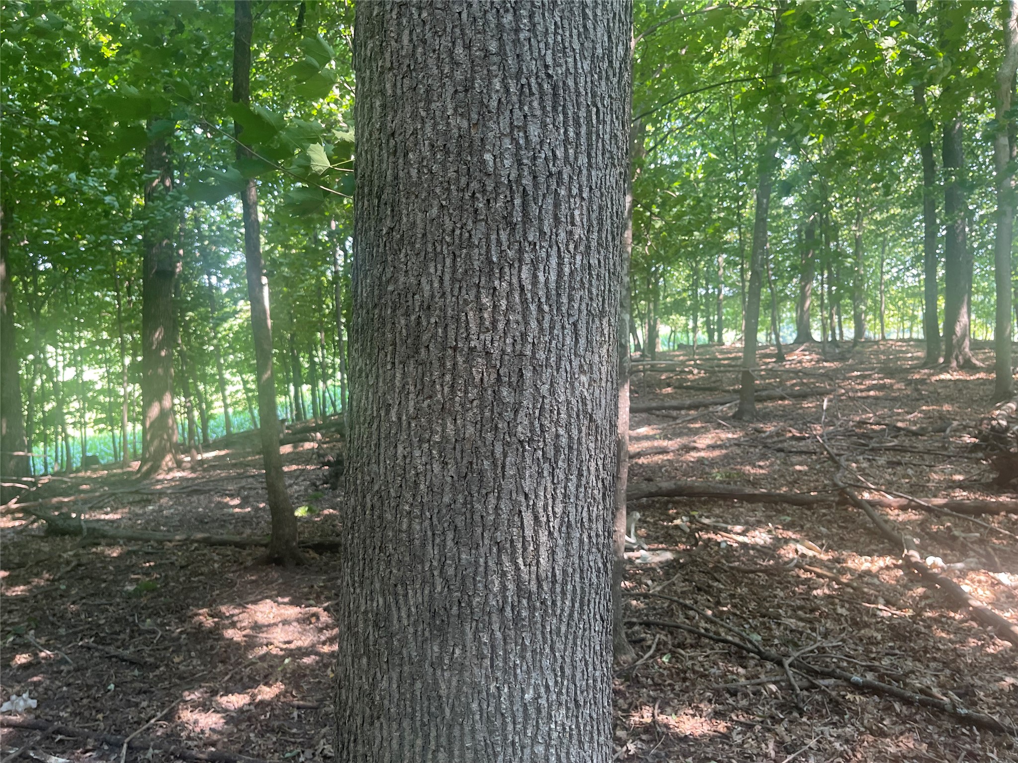 Tbd 190th Street Property Photo 13