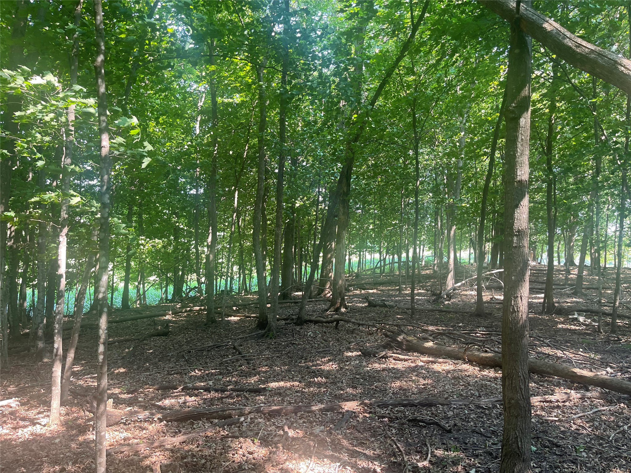 Tbd 190th Street Property Photo 14