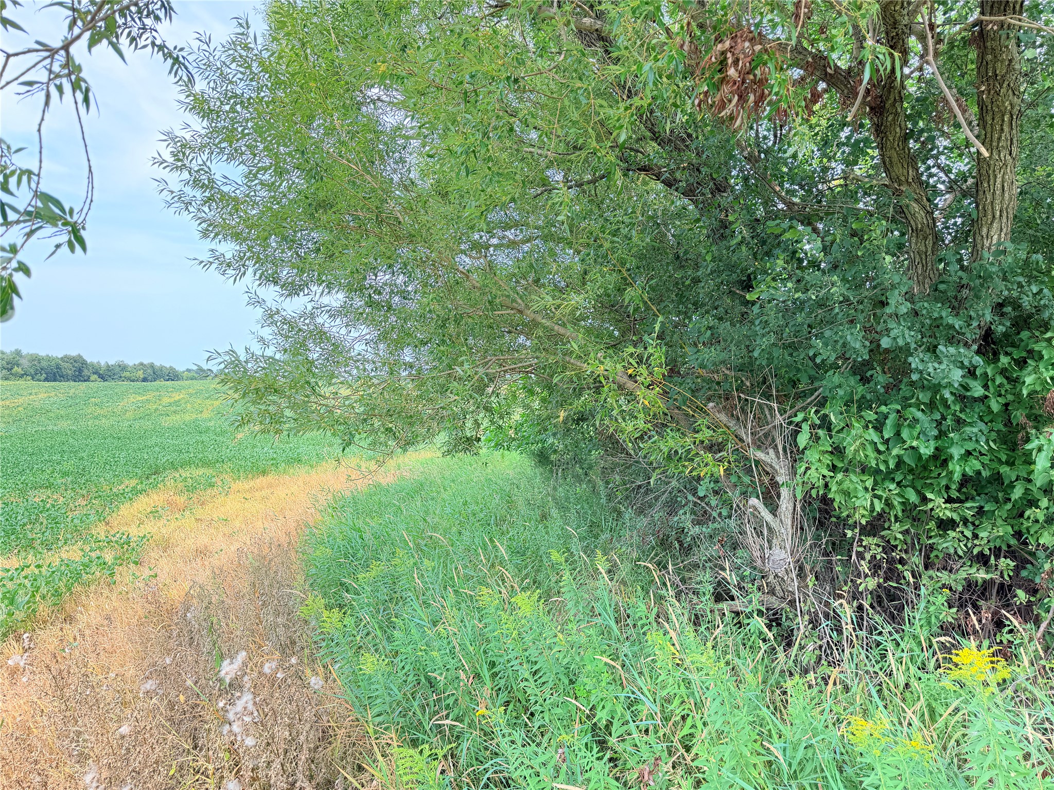 10 Acres 215th Street Property Photo 14