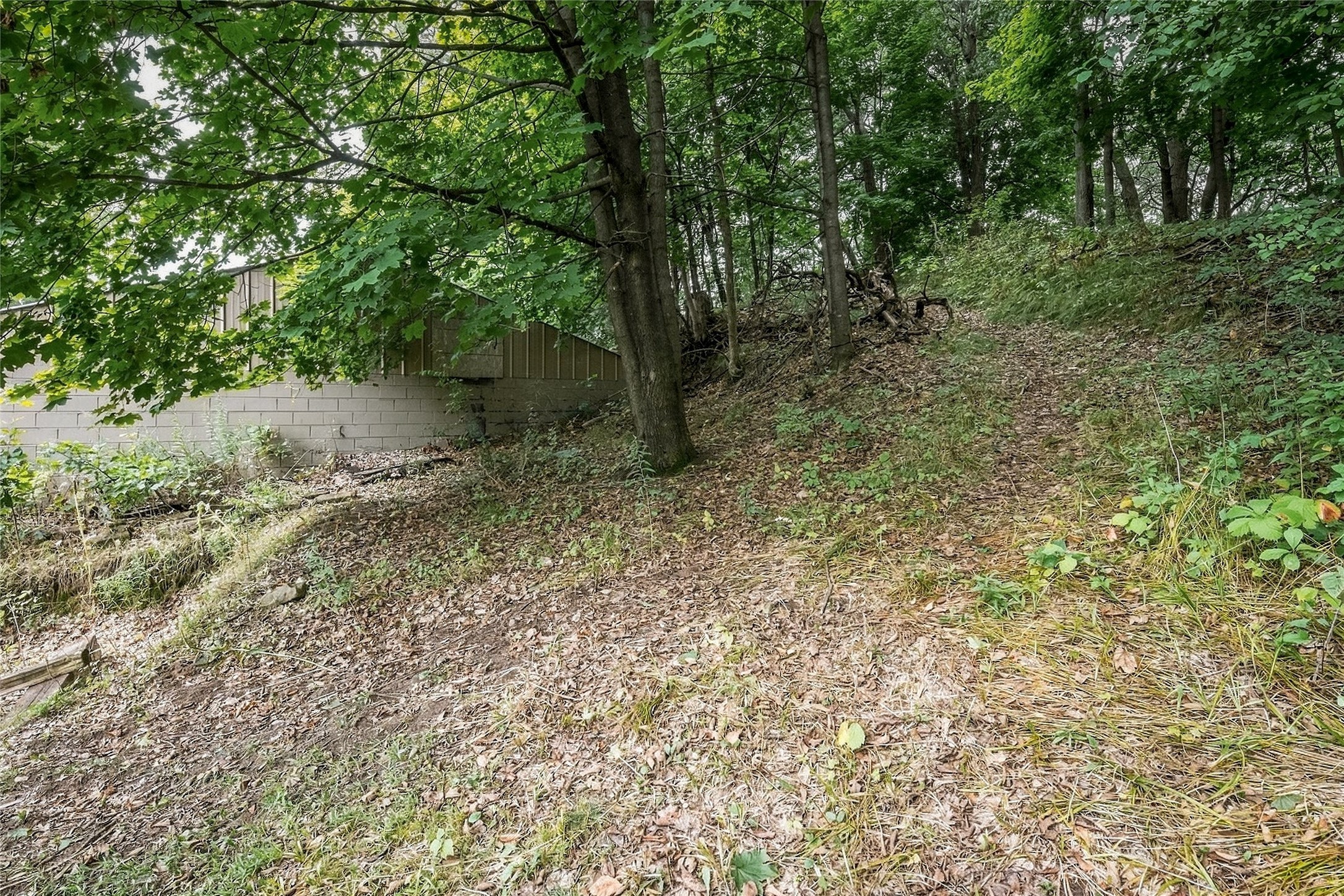 310 University Street Property Photo 49