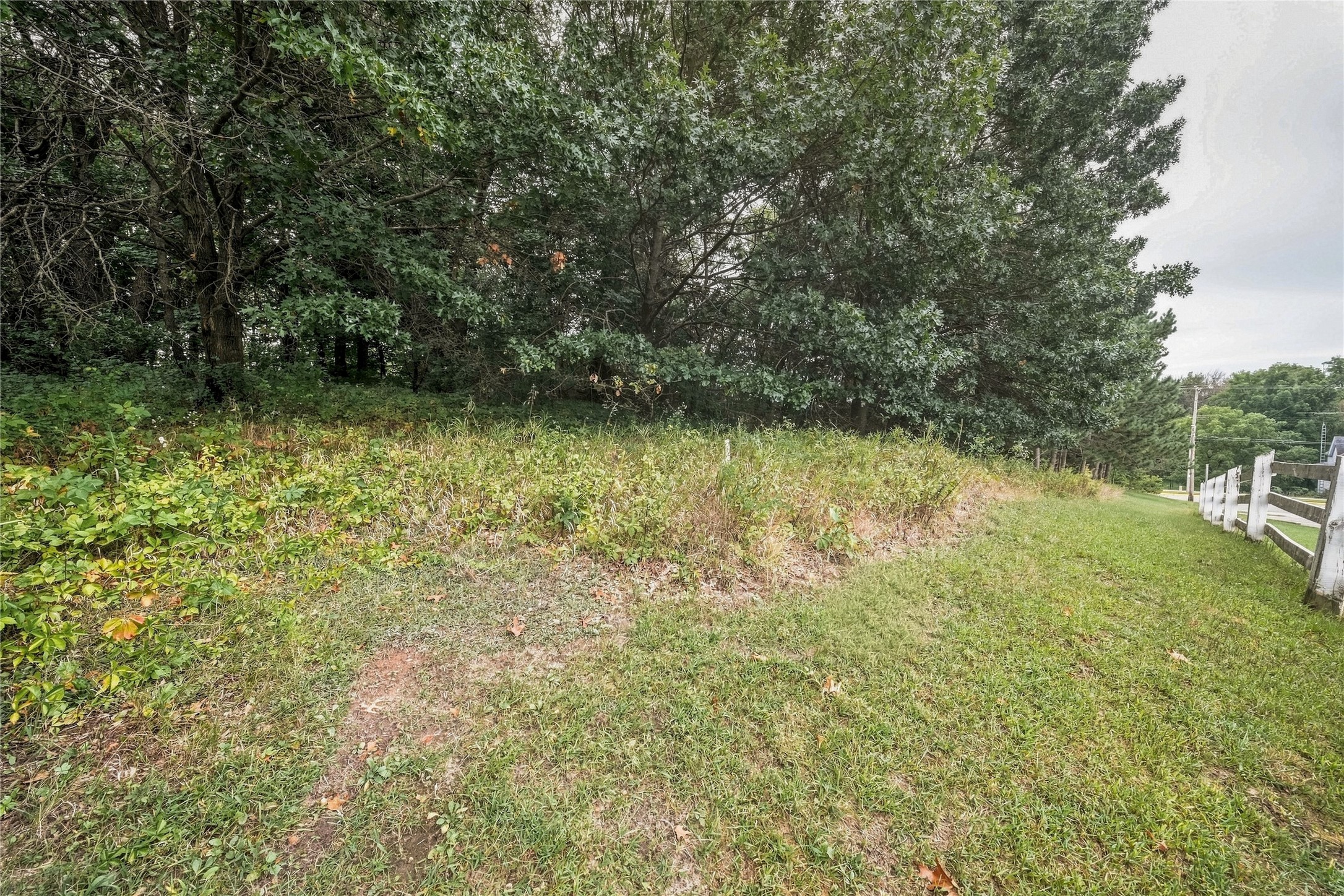 310 University Street Property Photo 52