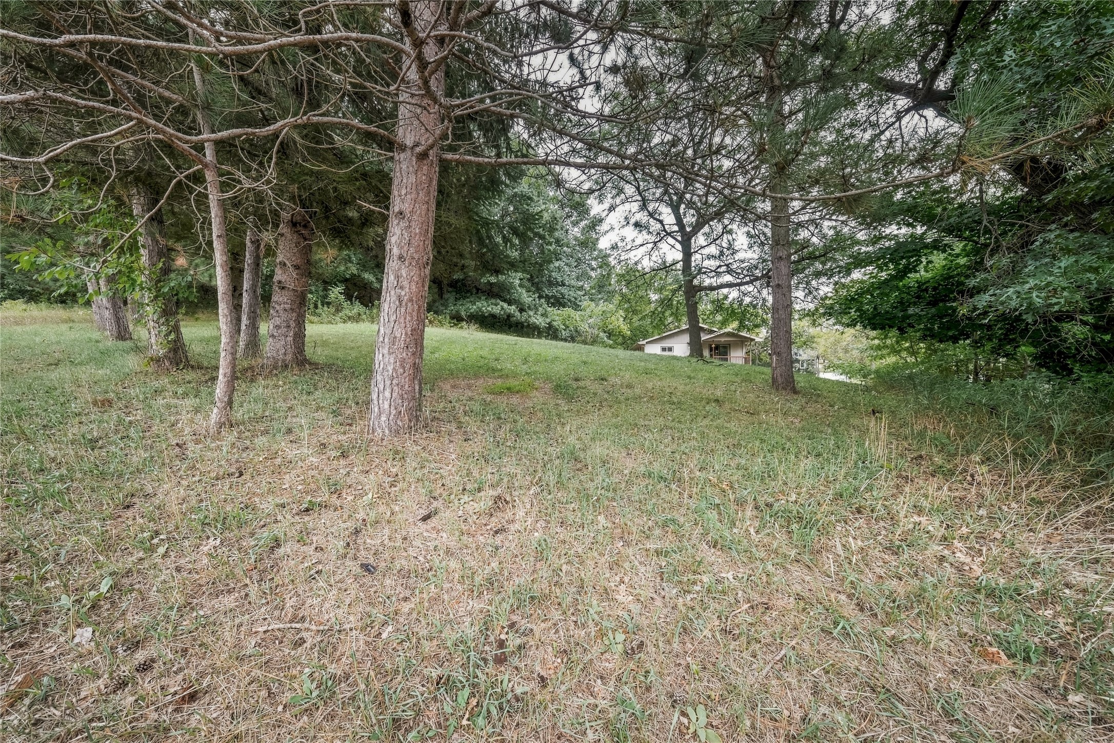 310 University Street Property Photo 54