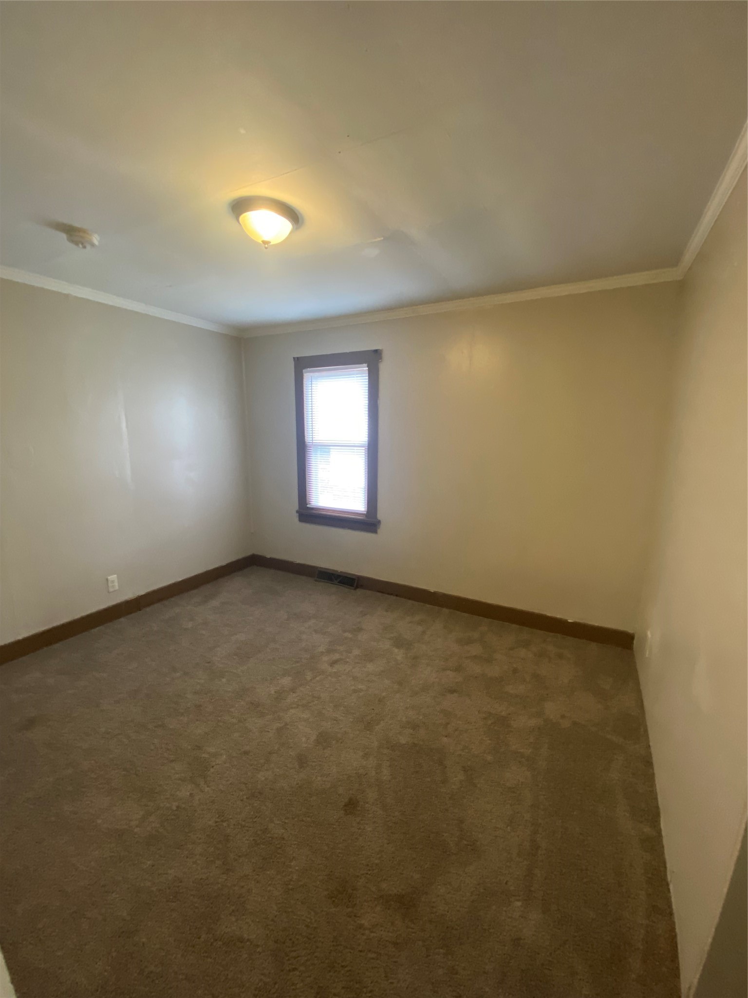 1223 Barron Street Property Photo 14