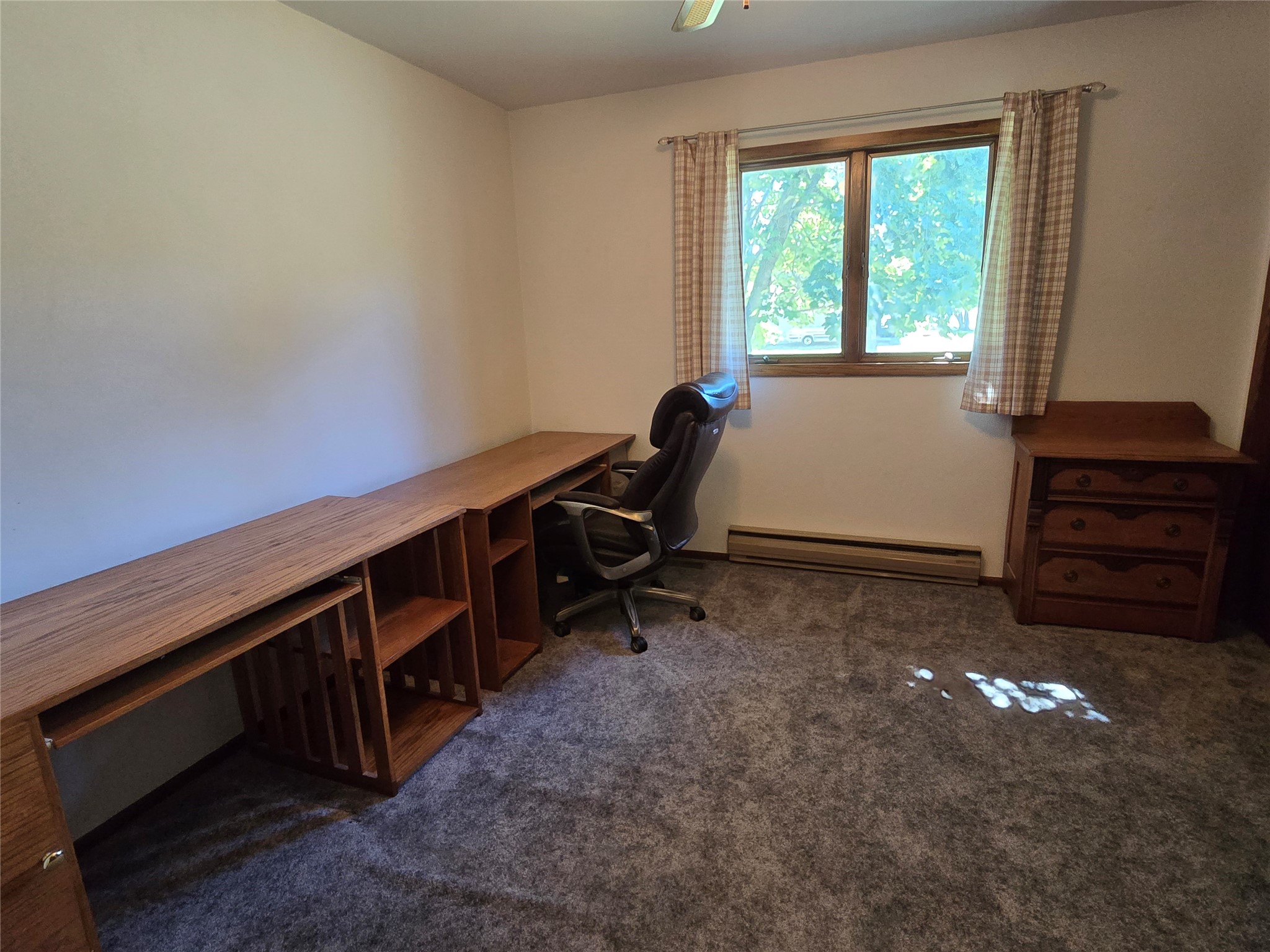 24 Bird Street Property Photo 16