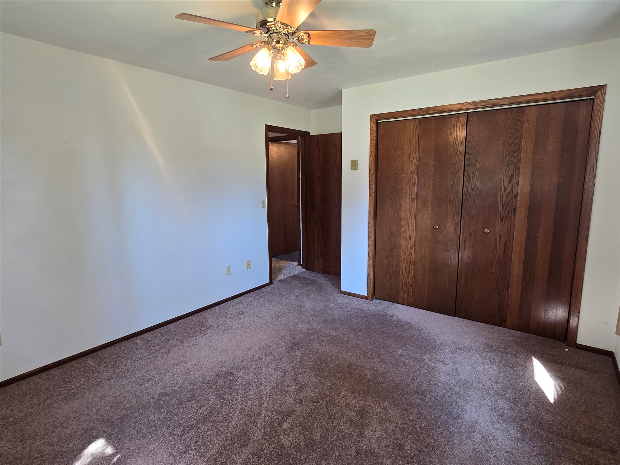 24 Bird Street Property Photo 22