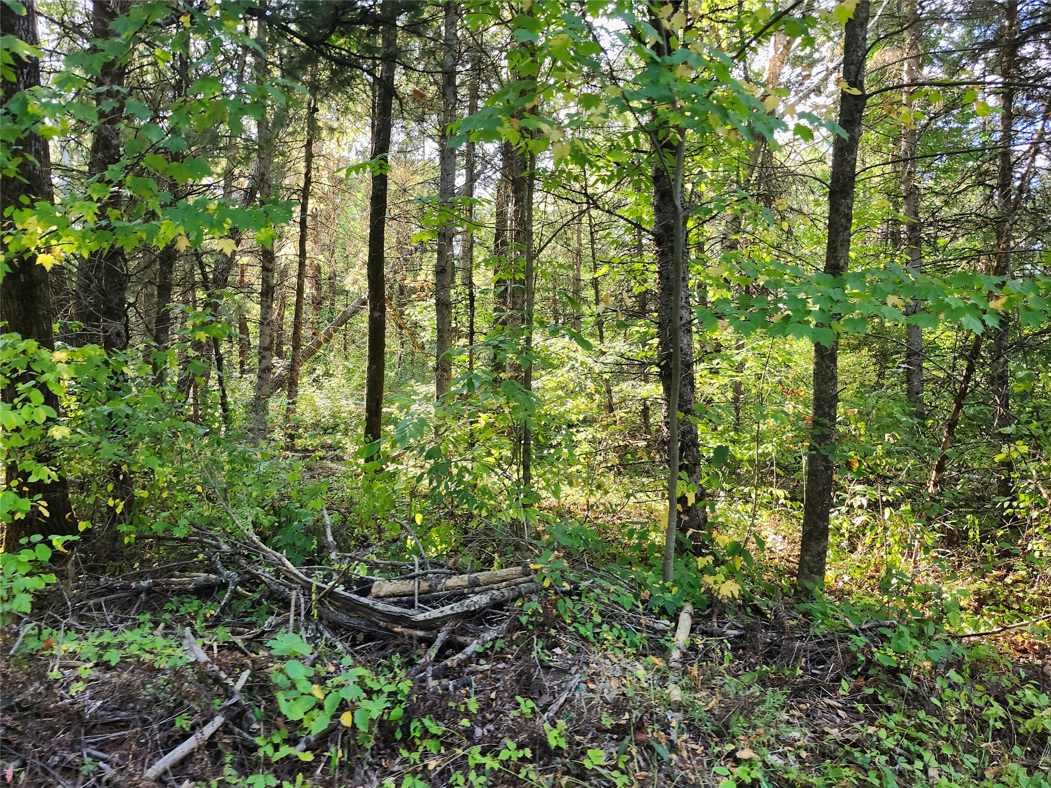 7821w Koeppler Road Property Photo 3