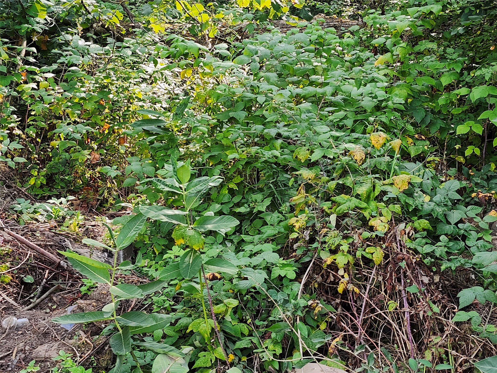 7821w Koeppler Road Property Photo 11