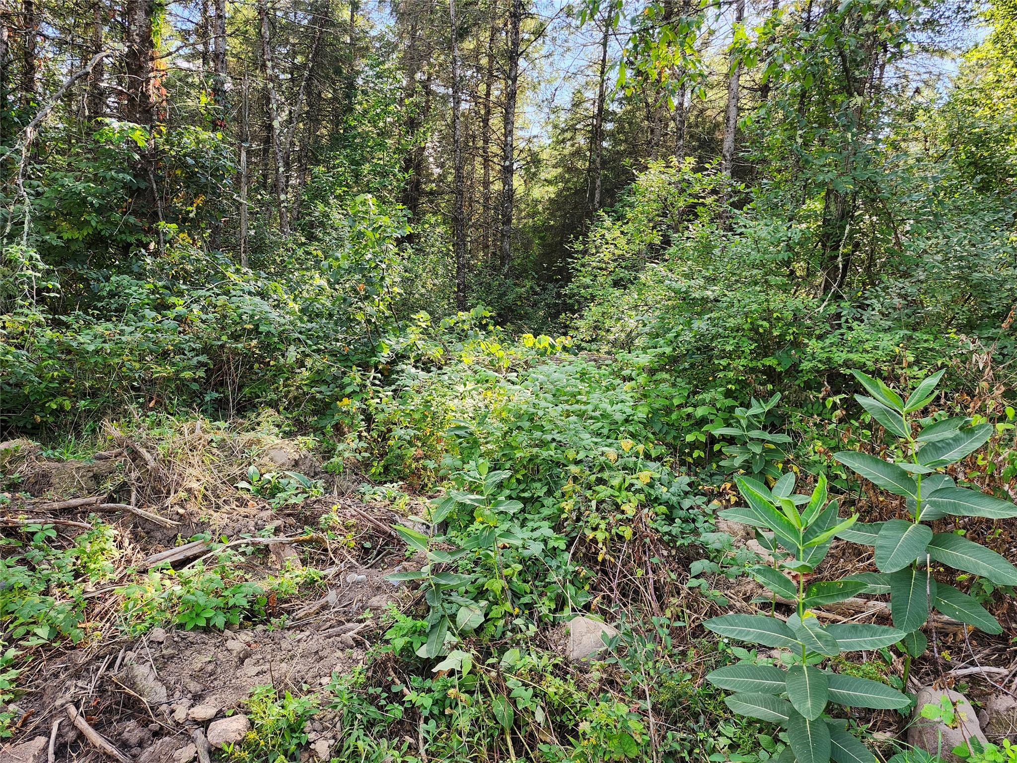 7821w Koeppler Road Property Photo 12