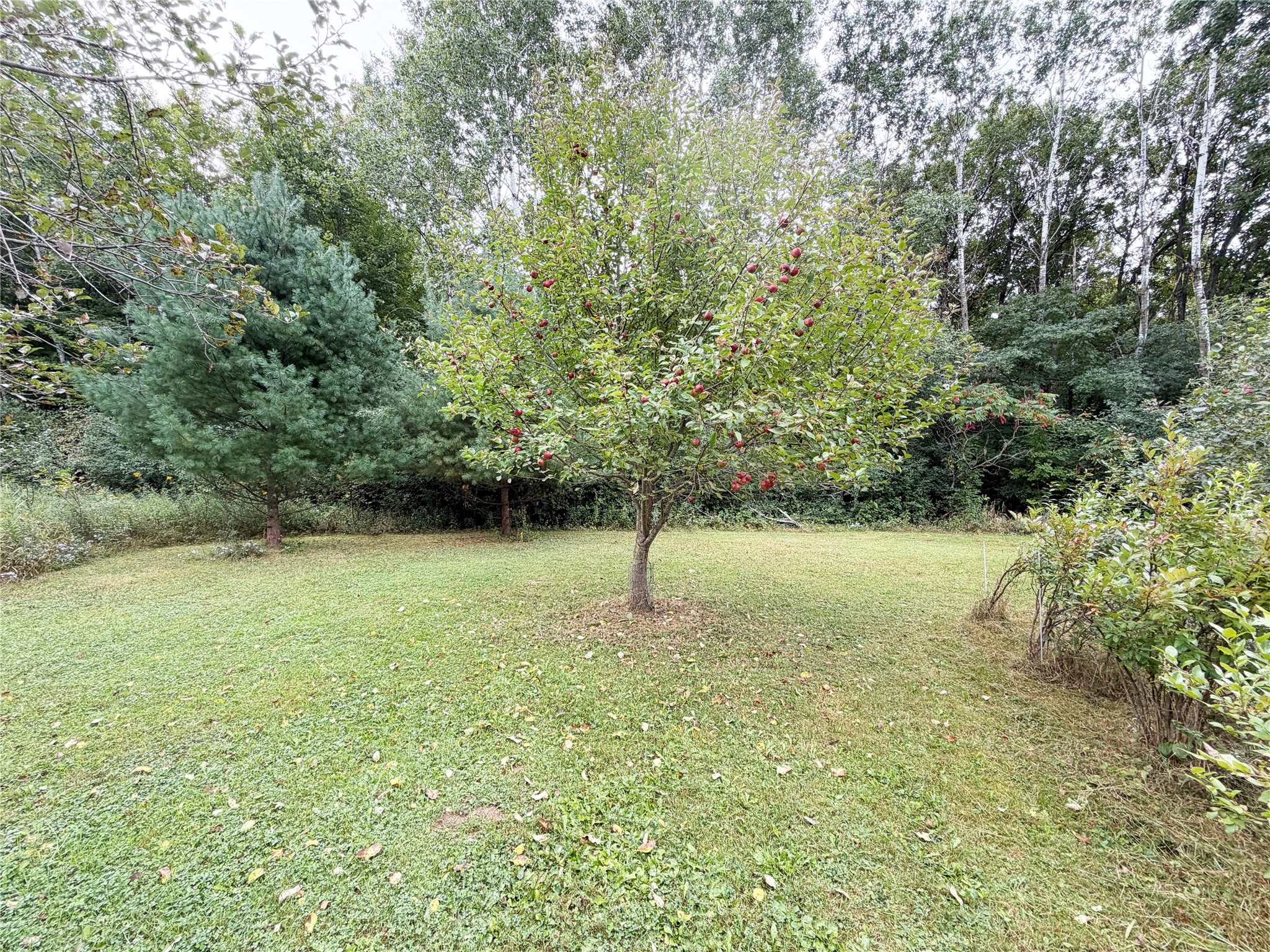 1549 24 1/2 Street Property Photo 24