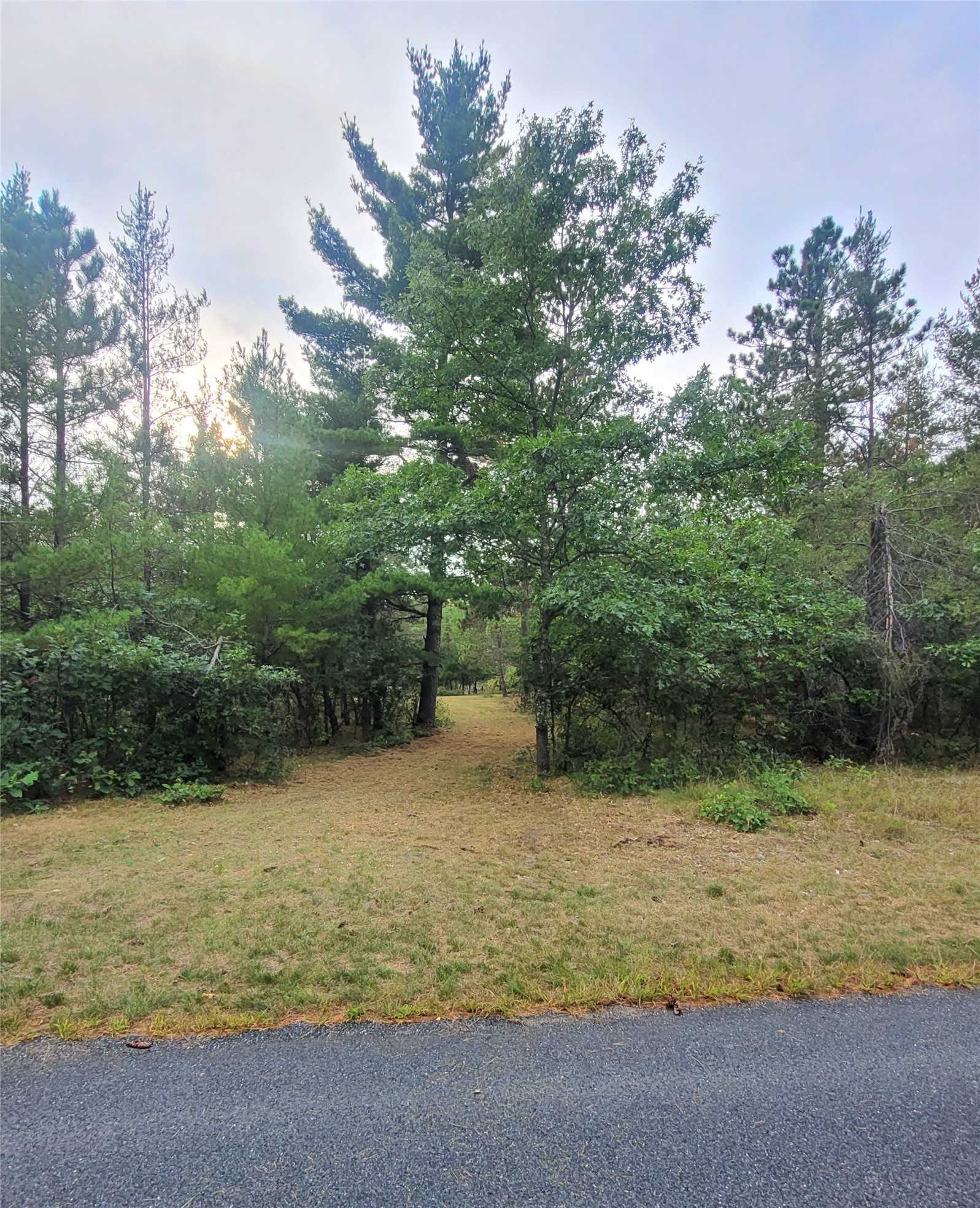 0 Blueberry Road Property Photo 1
