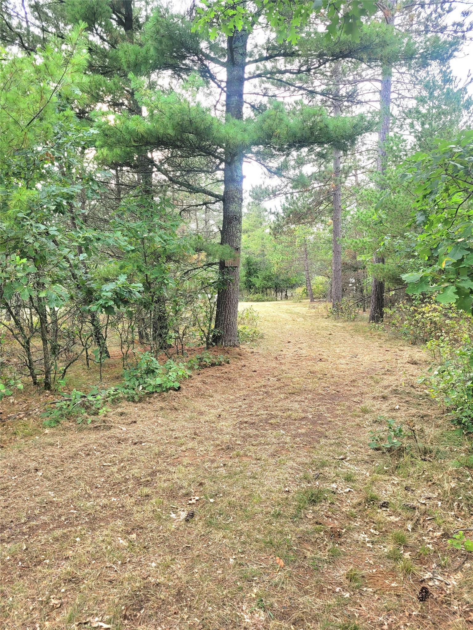 0 Blueberry Road Property Photo 3