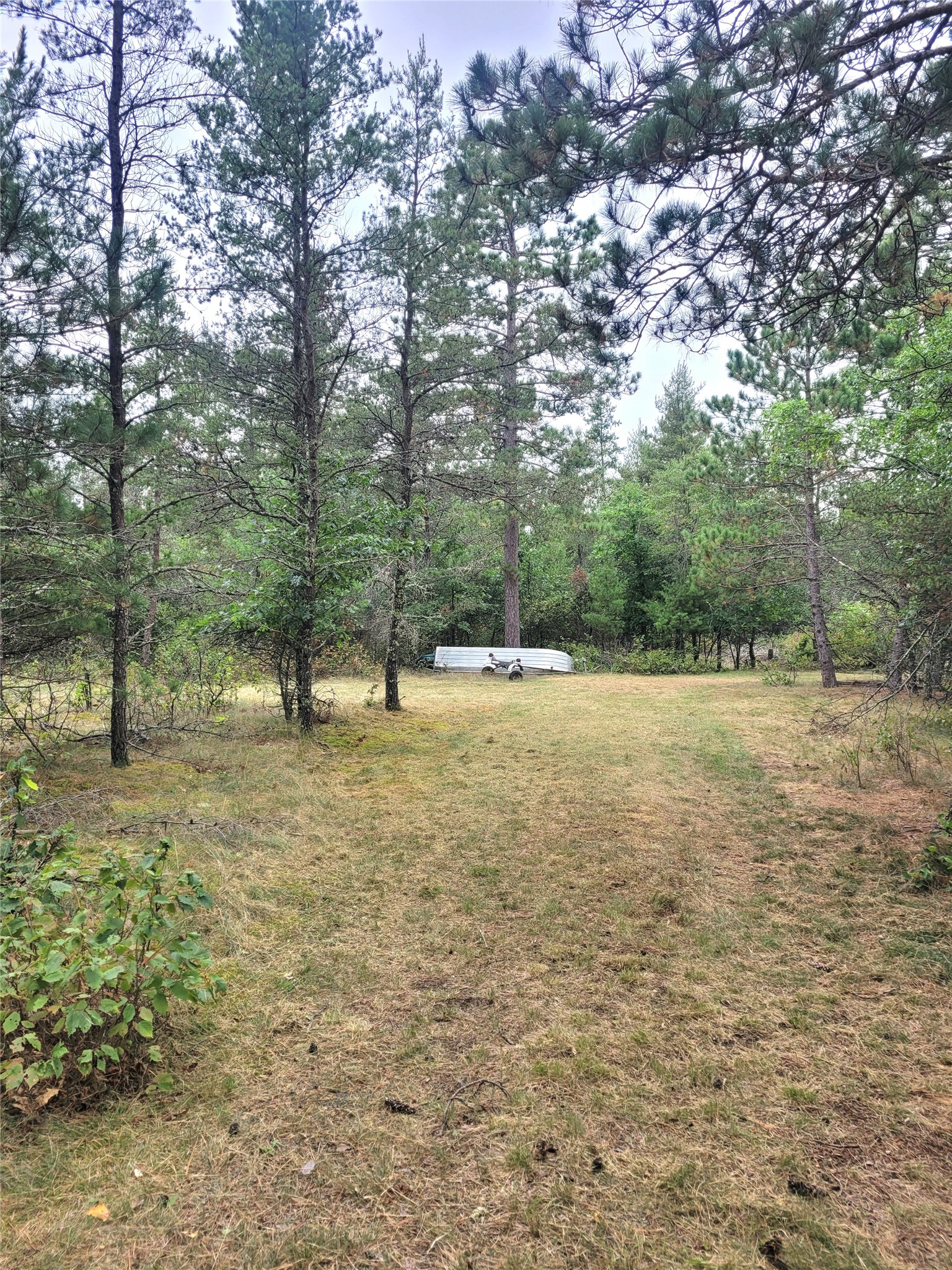 0 Blueberry Road Property Photo 5