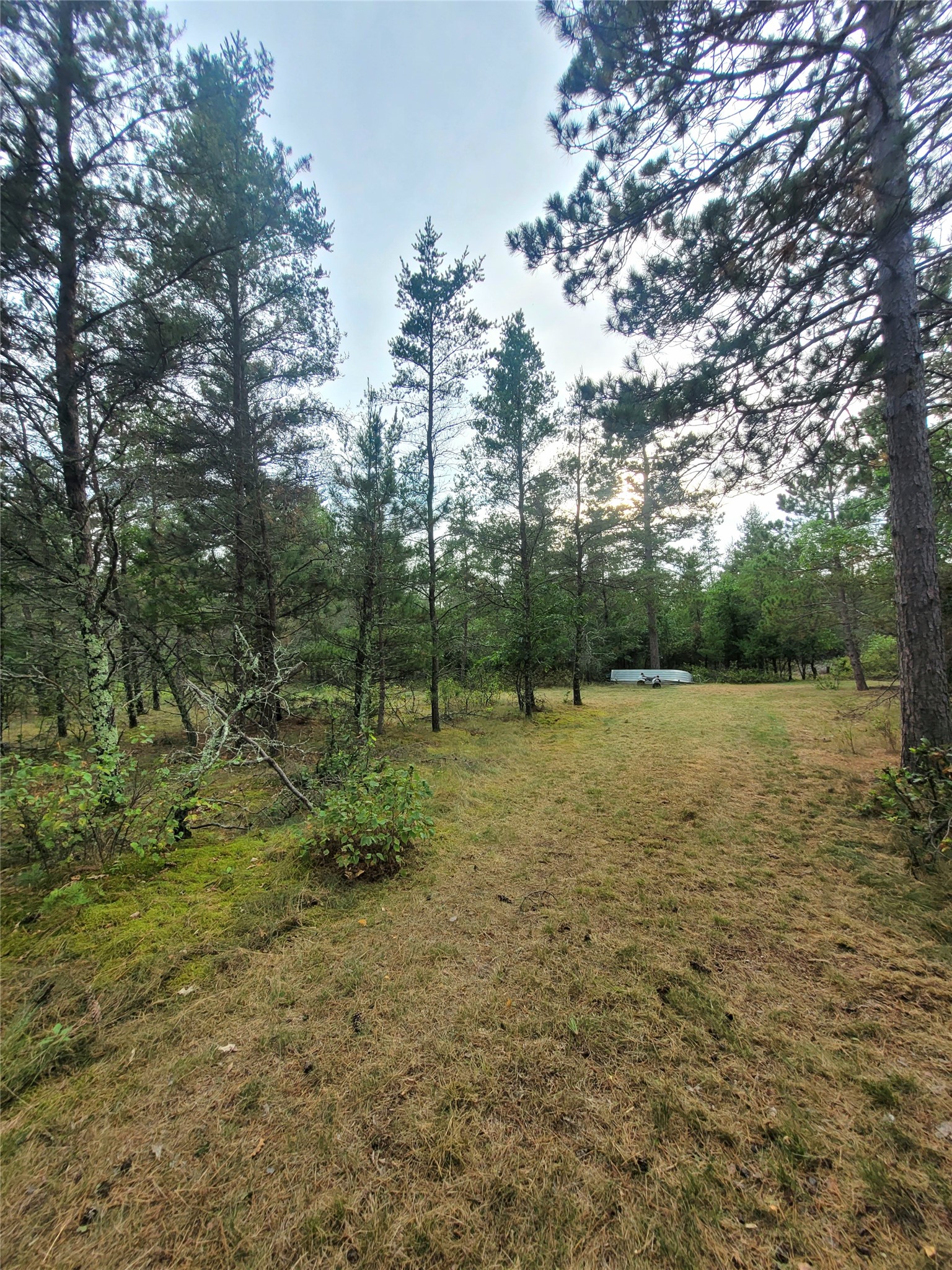0 Blueberry Road Property Photo 6