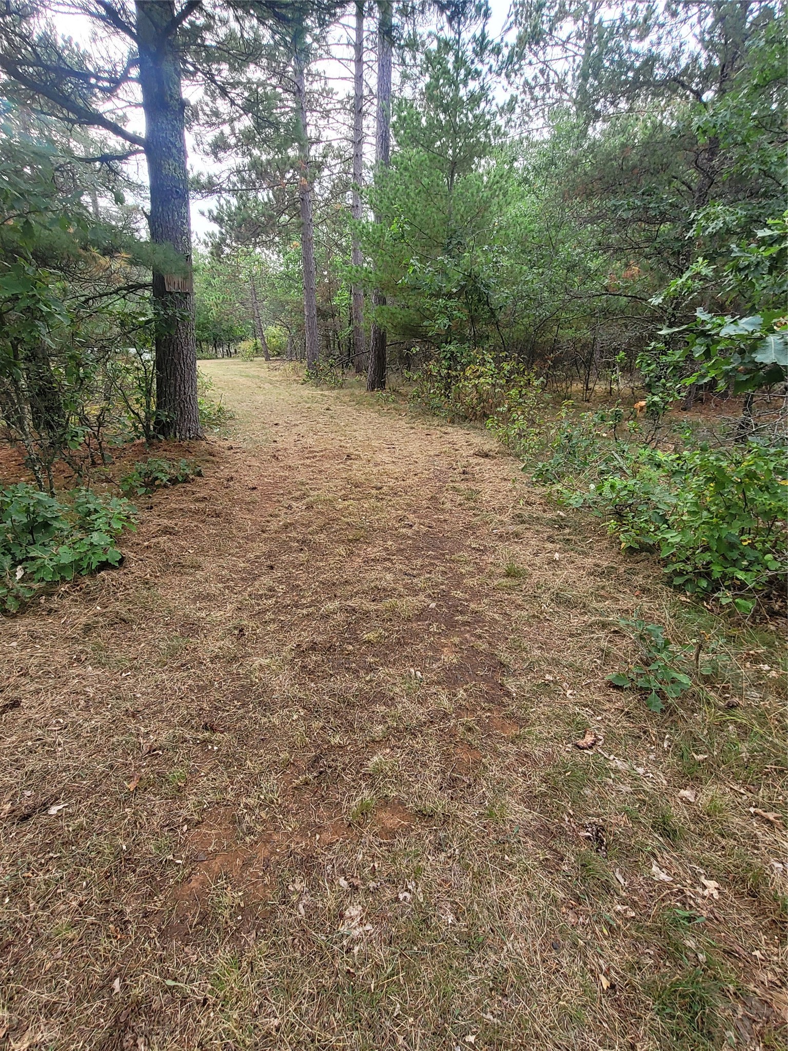 0 Blueberry Road Property Photo 7