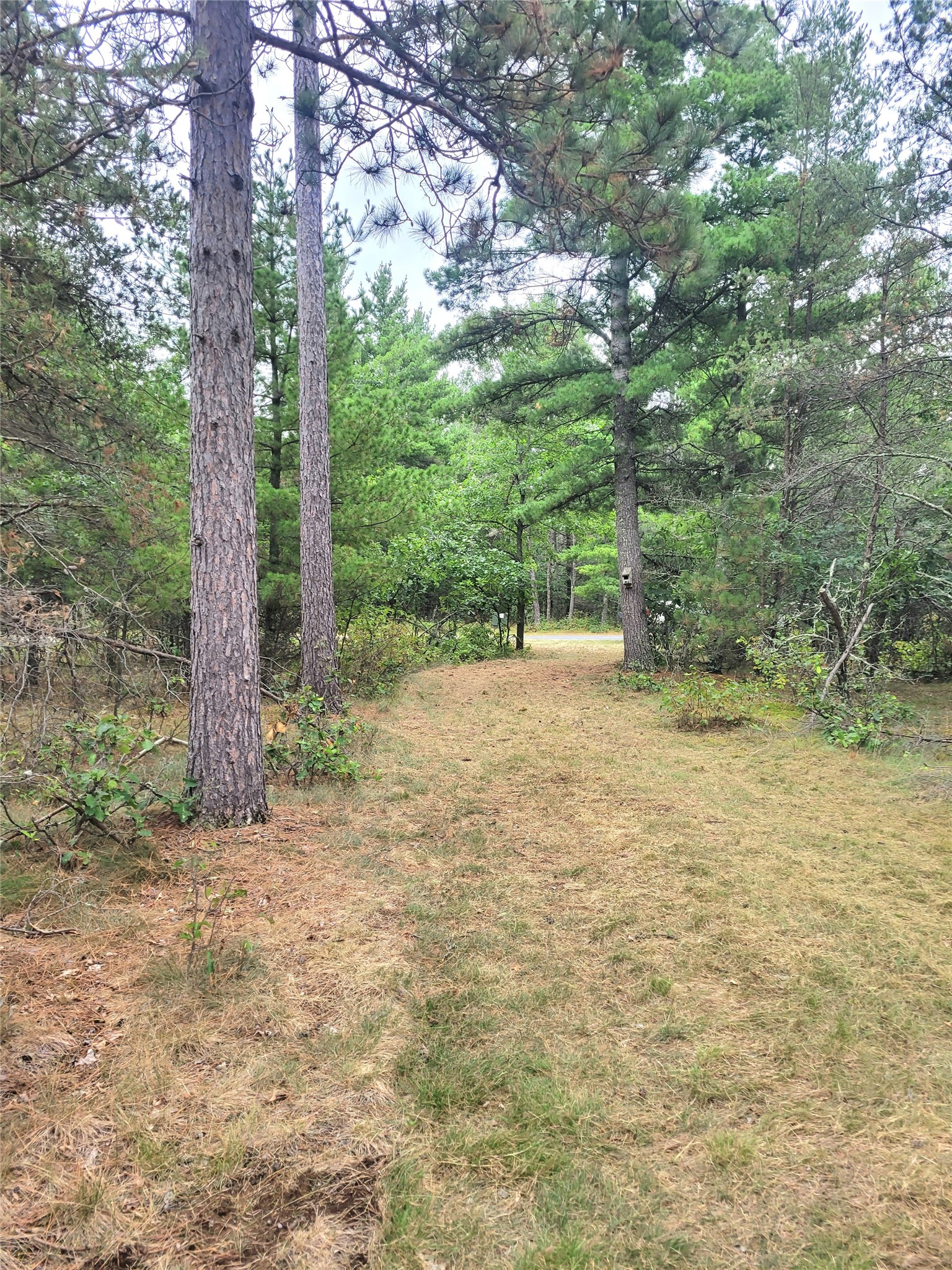 0 Blueberry Road Property Photo 8