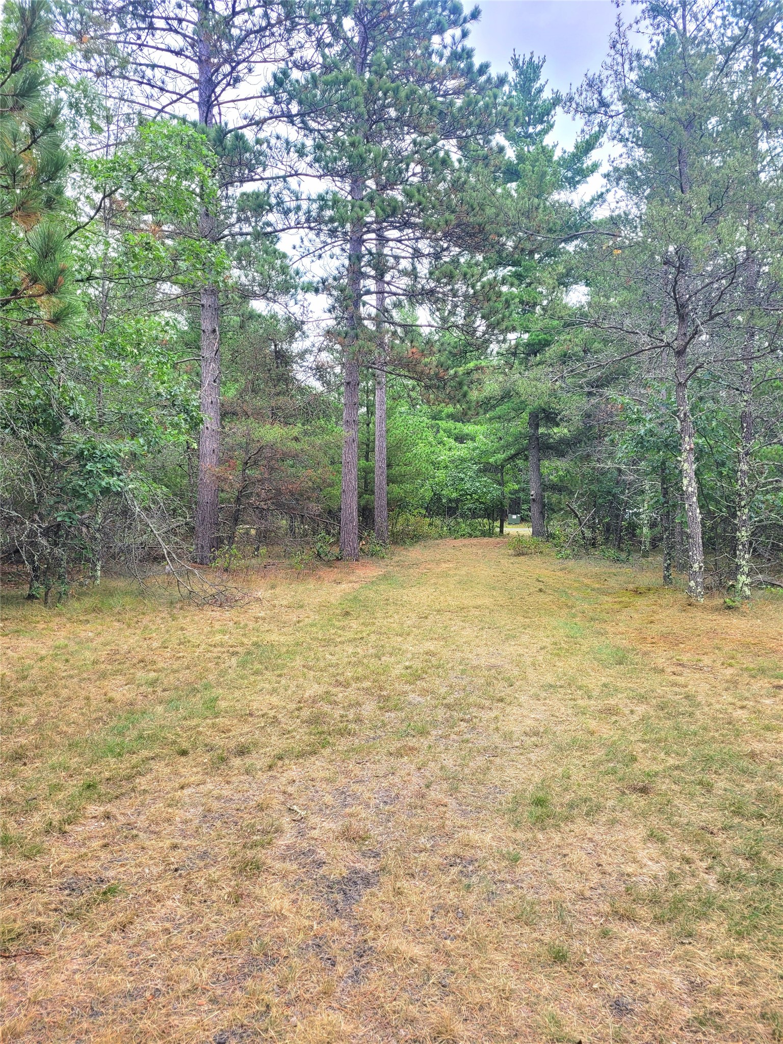 0 Blueberry Road Property Photo 9