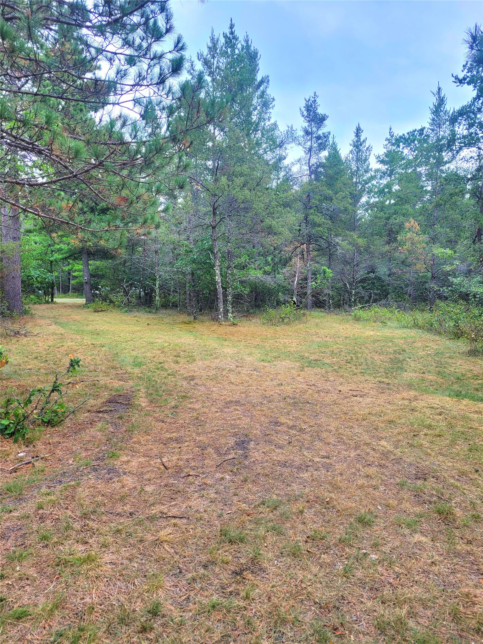 0 Blueberry Road Property Photo 10