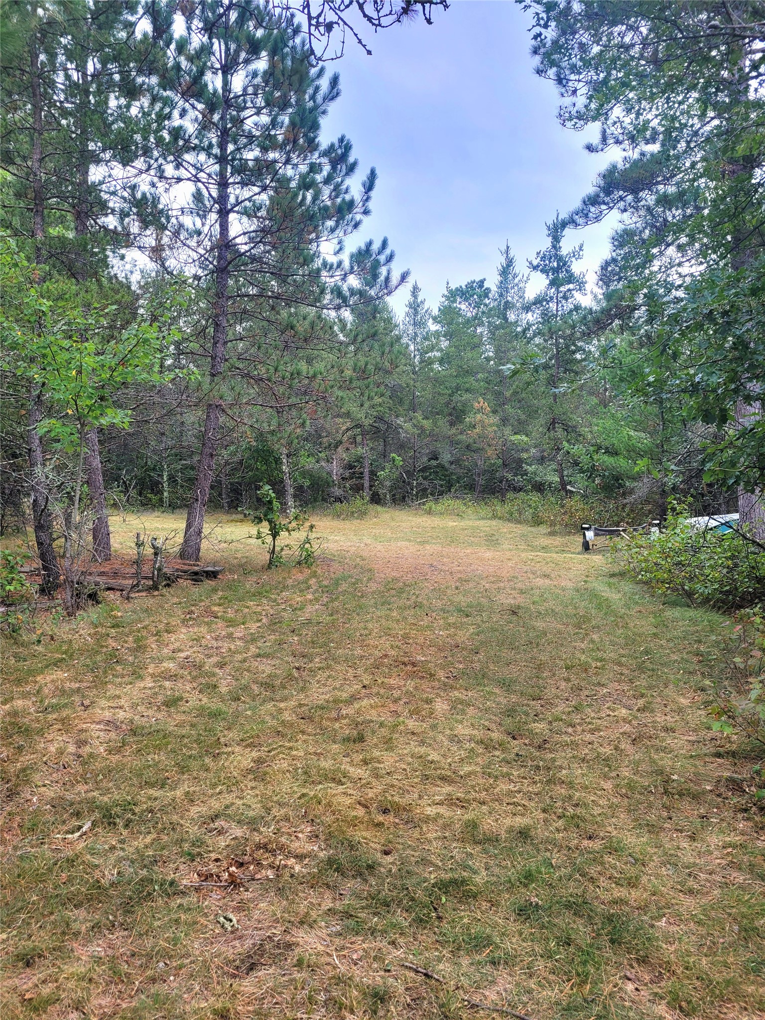 0 Blueberry Road Property Photo 11