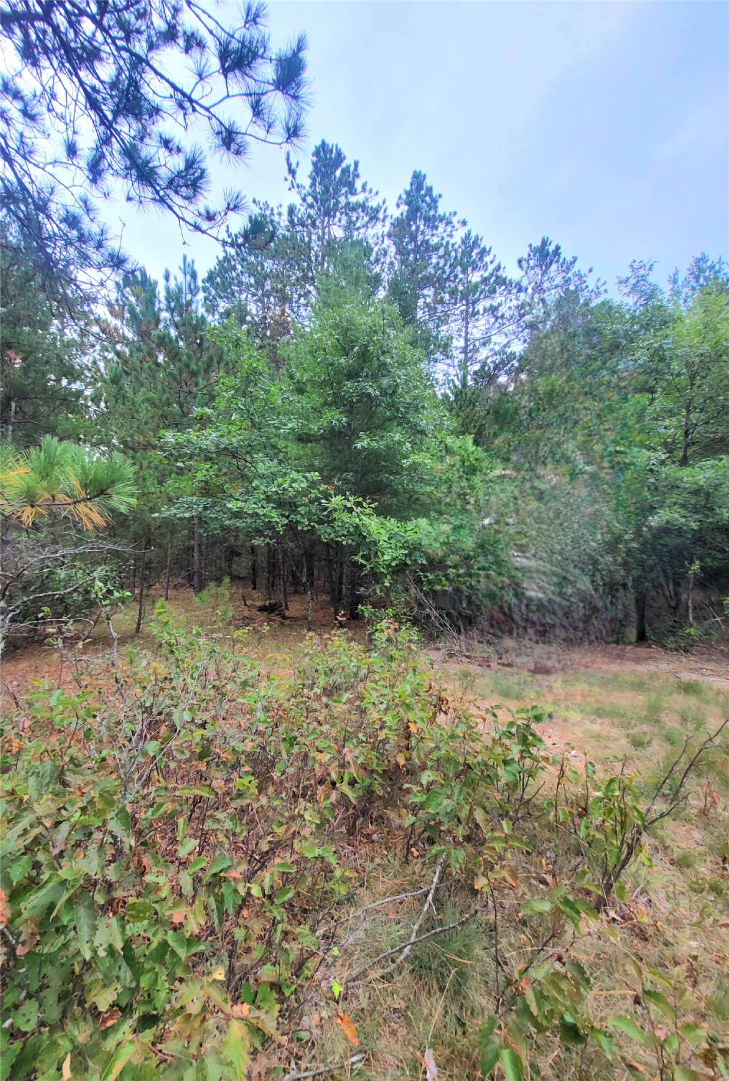 0 Blueberry Road Property Photo 13