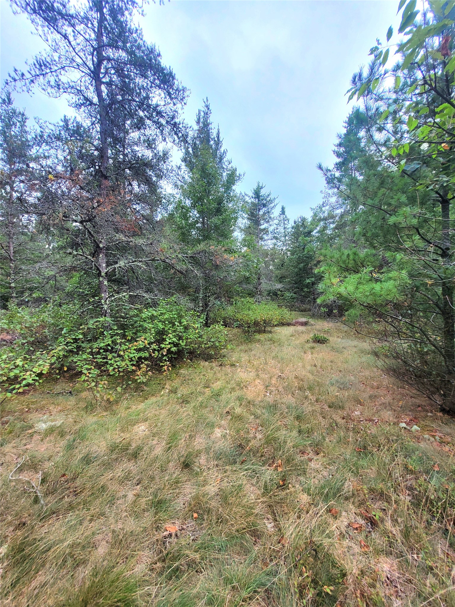 0 Blueberry Road Property Photo 17