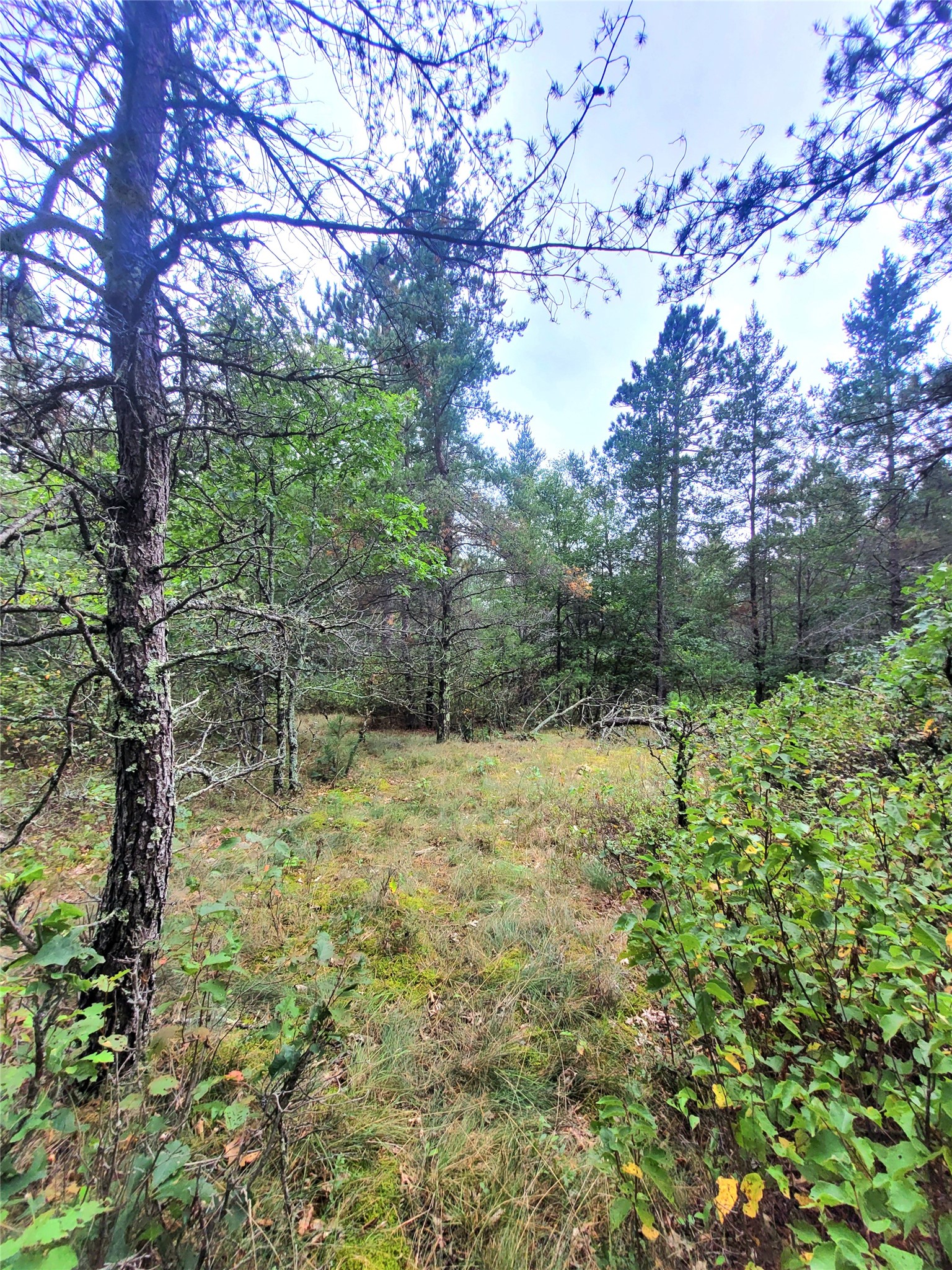 0 Blueberry Road Property Photo 18