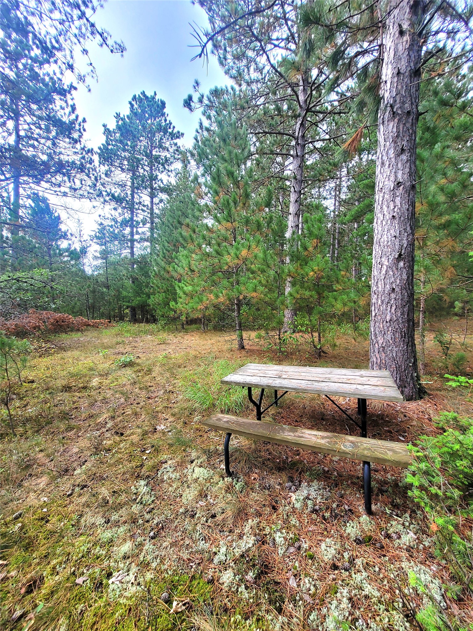 0 Blueberry Road Property Photo 22