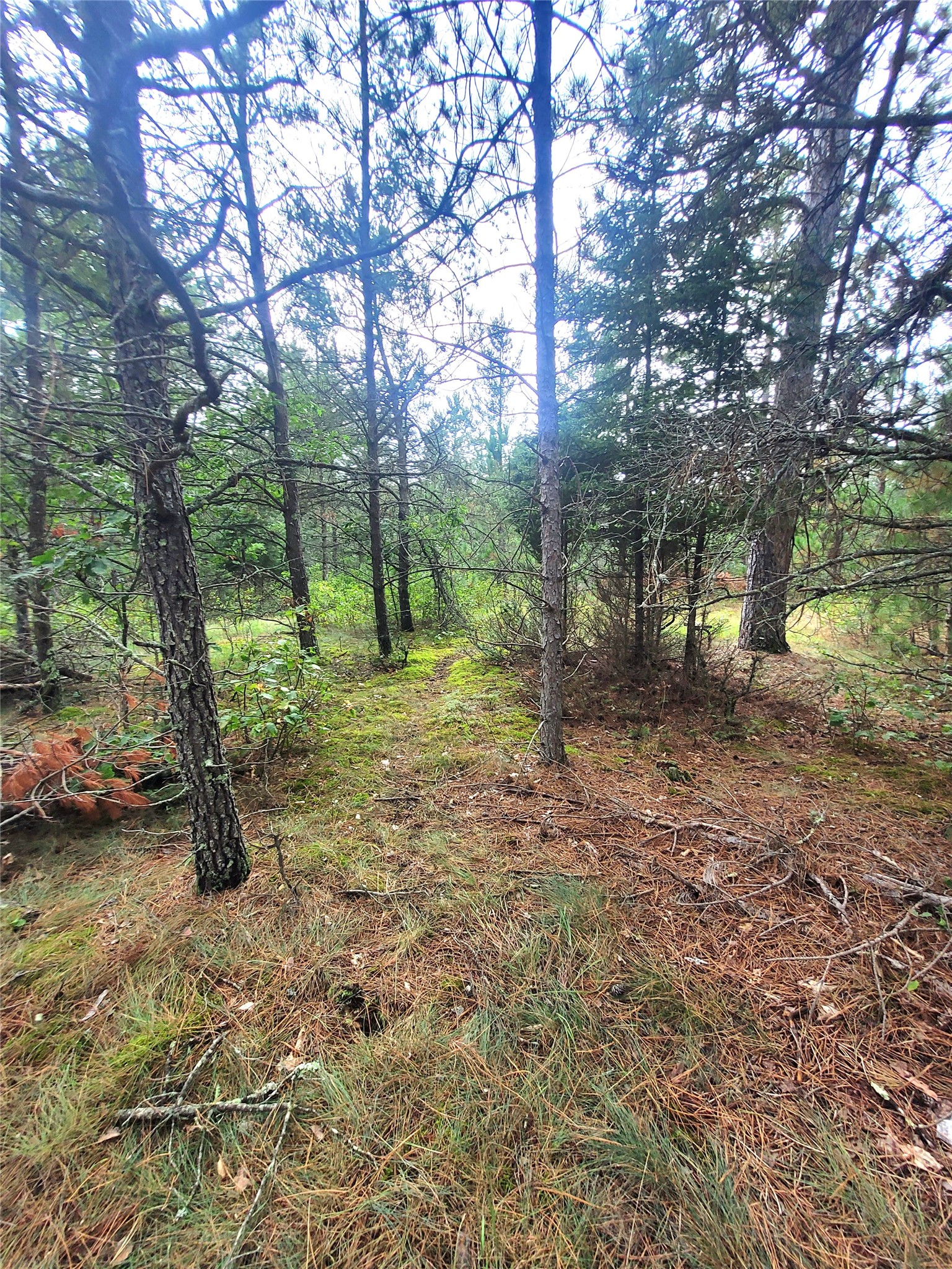 0 Blueberry Road Property Photo 23