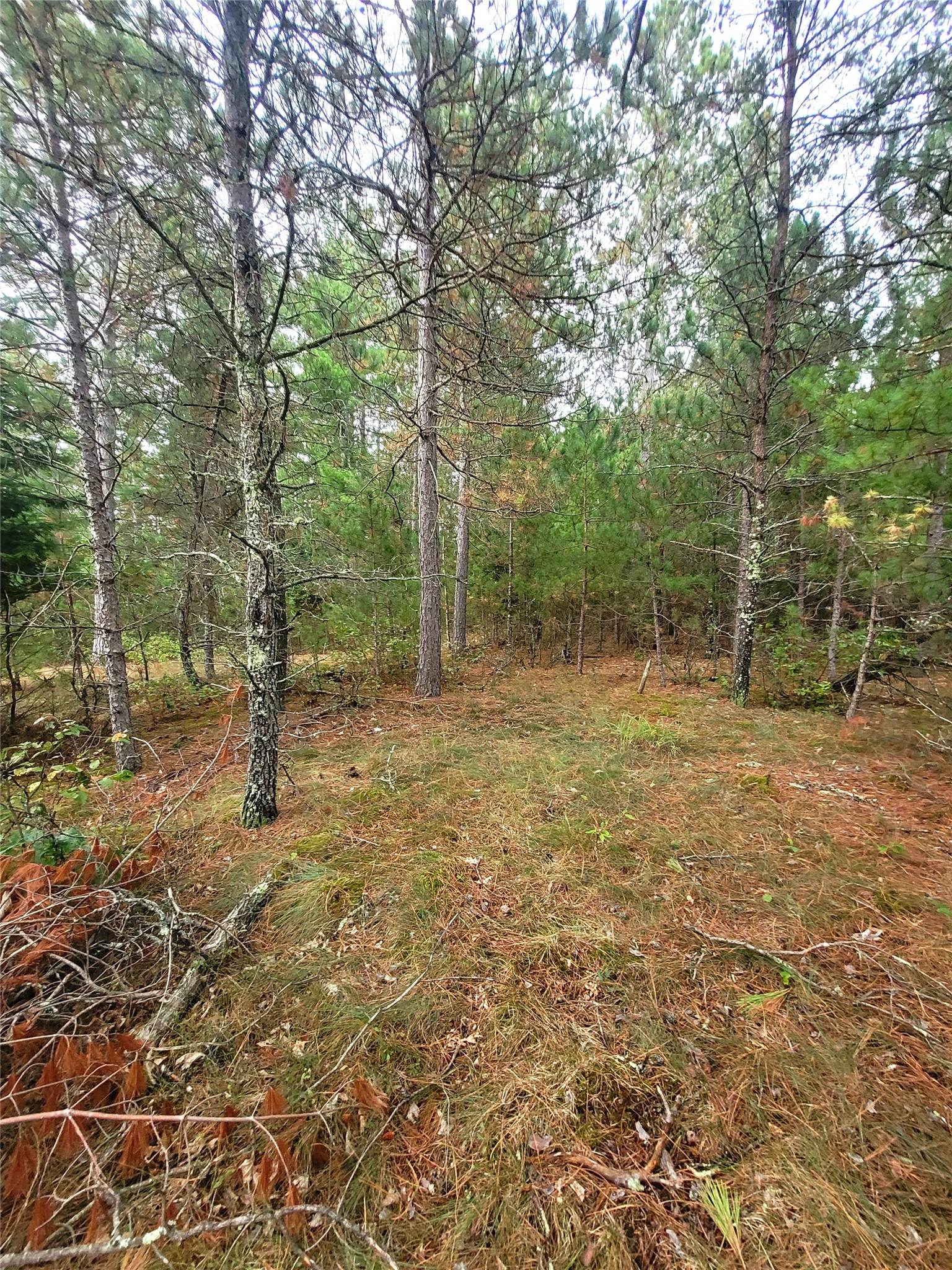 0 Blueberry Road Property Photo 25