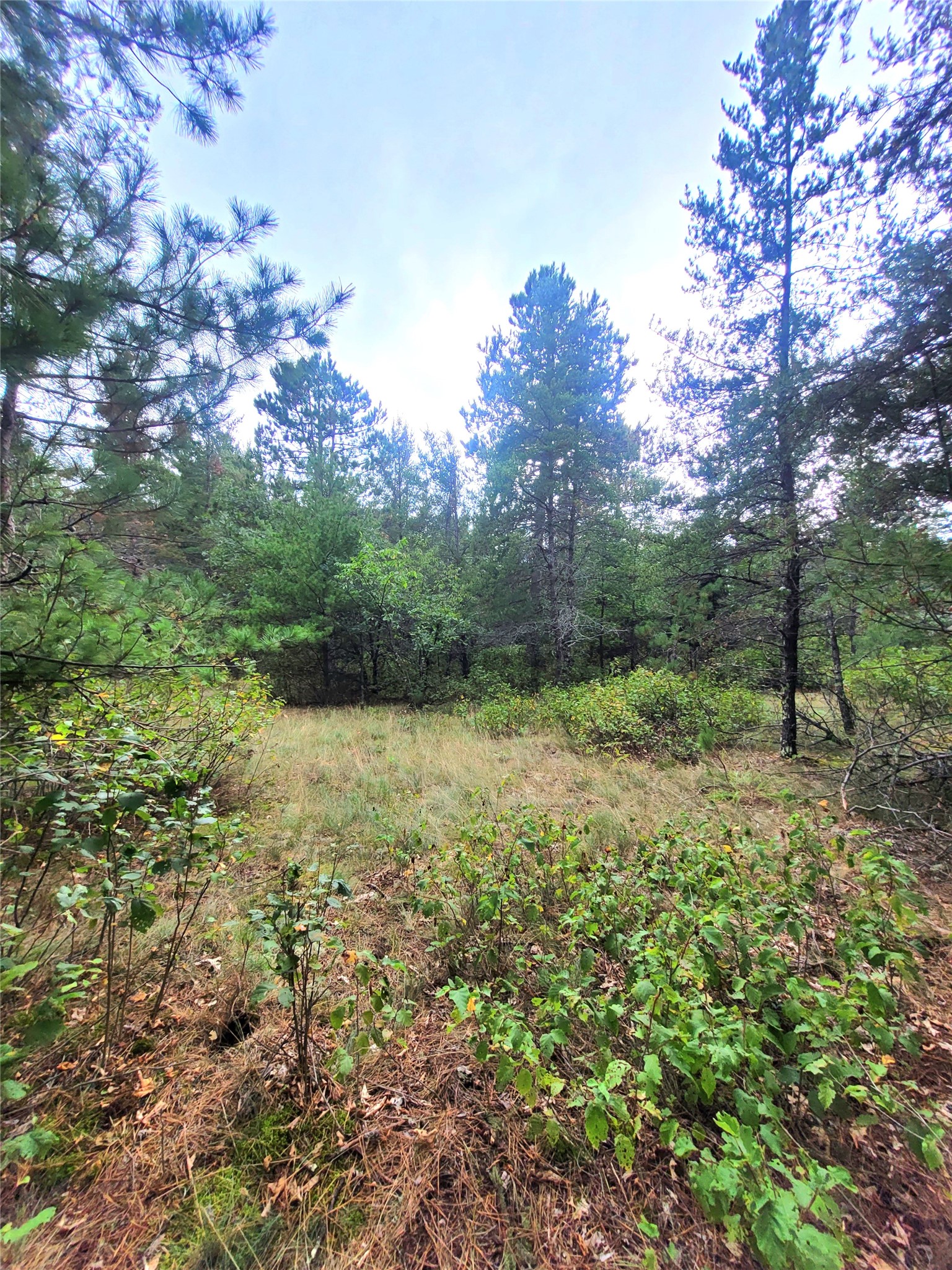 0 Blueberry Road Property Photo 26