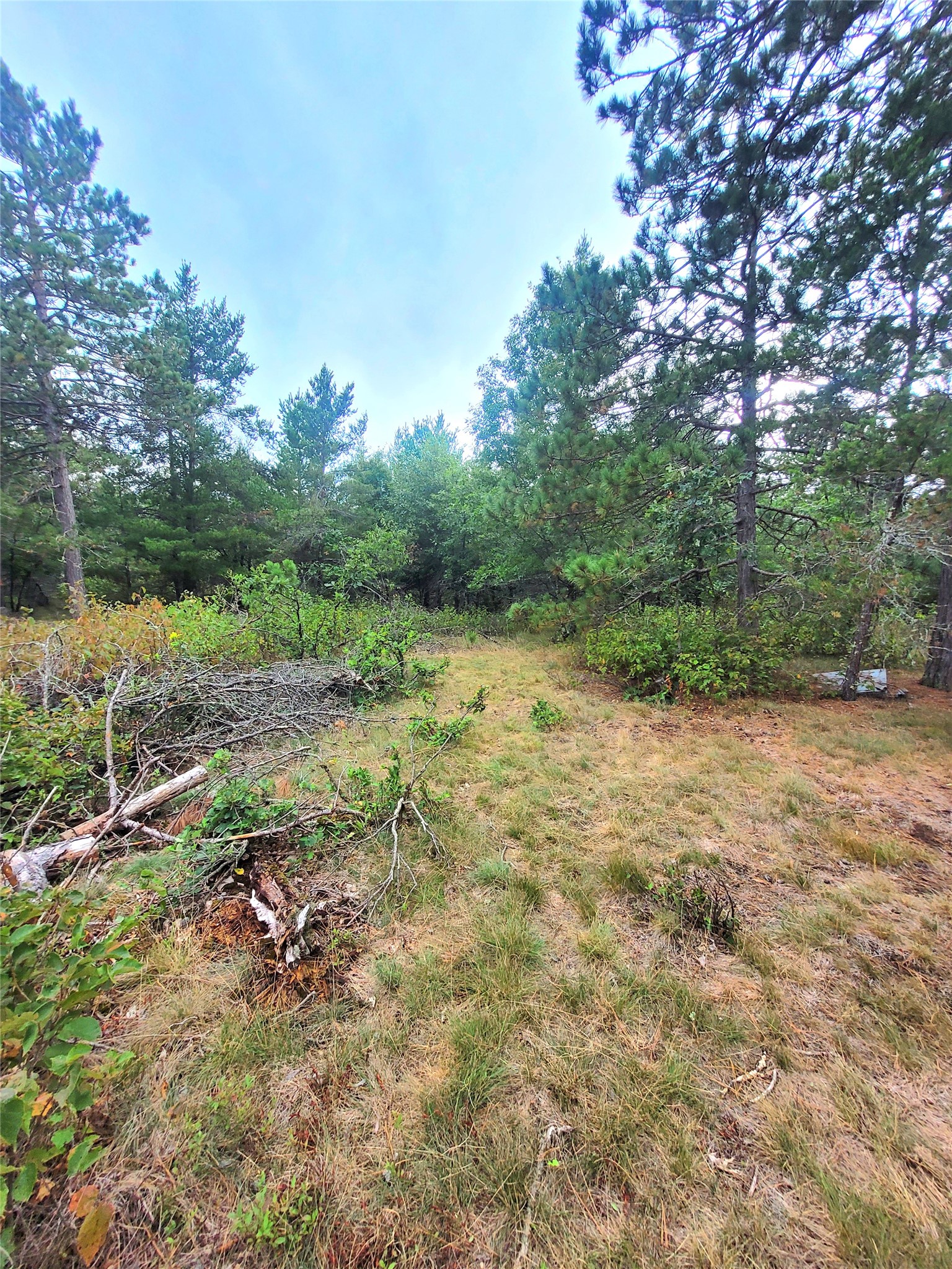 0 Blueberry Road Property Photo 27