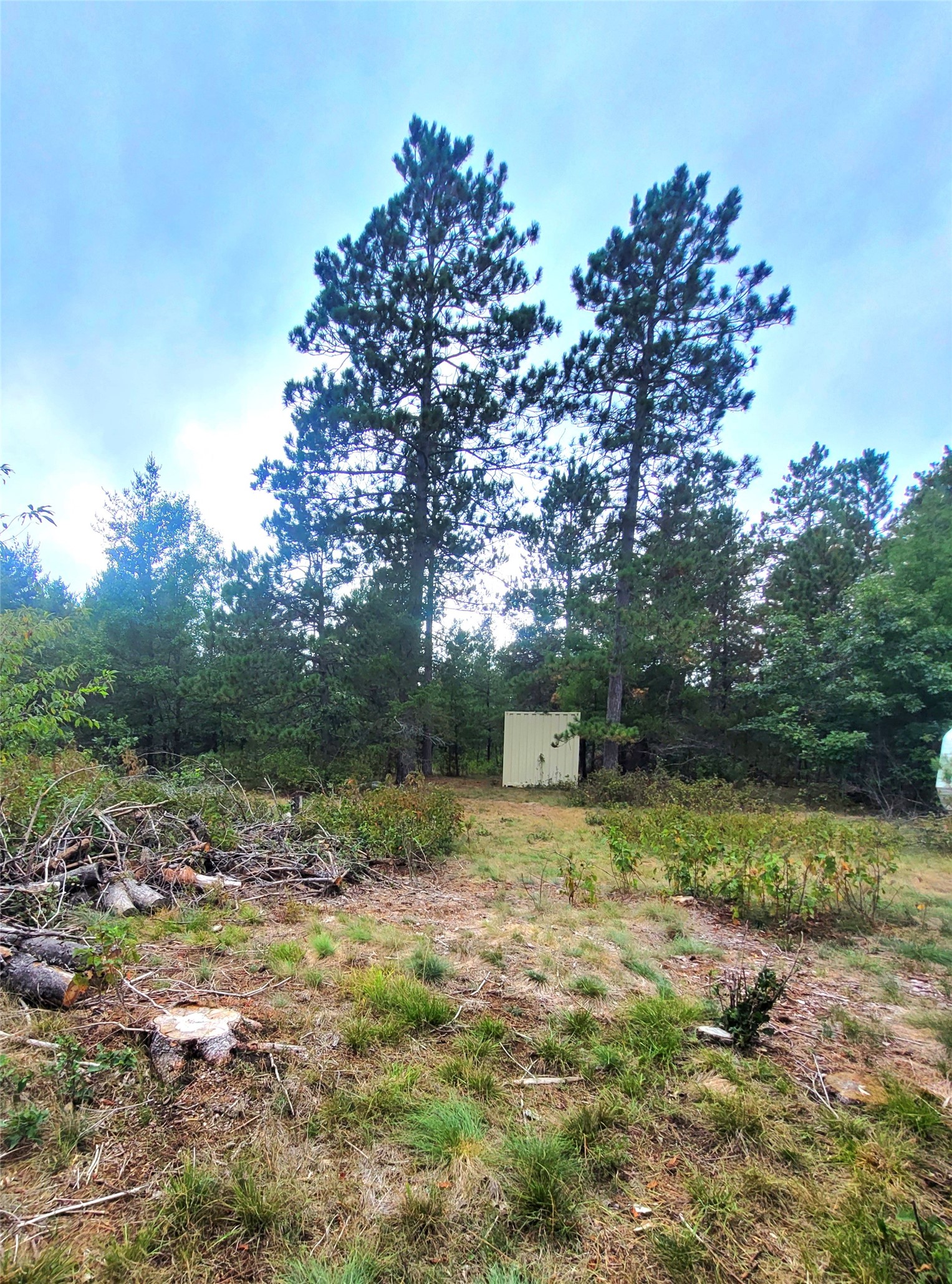 0 Blueberry Road Property Photo 28
