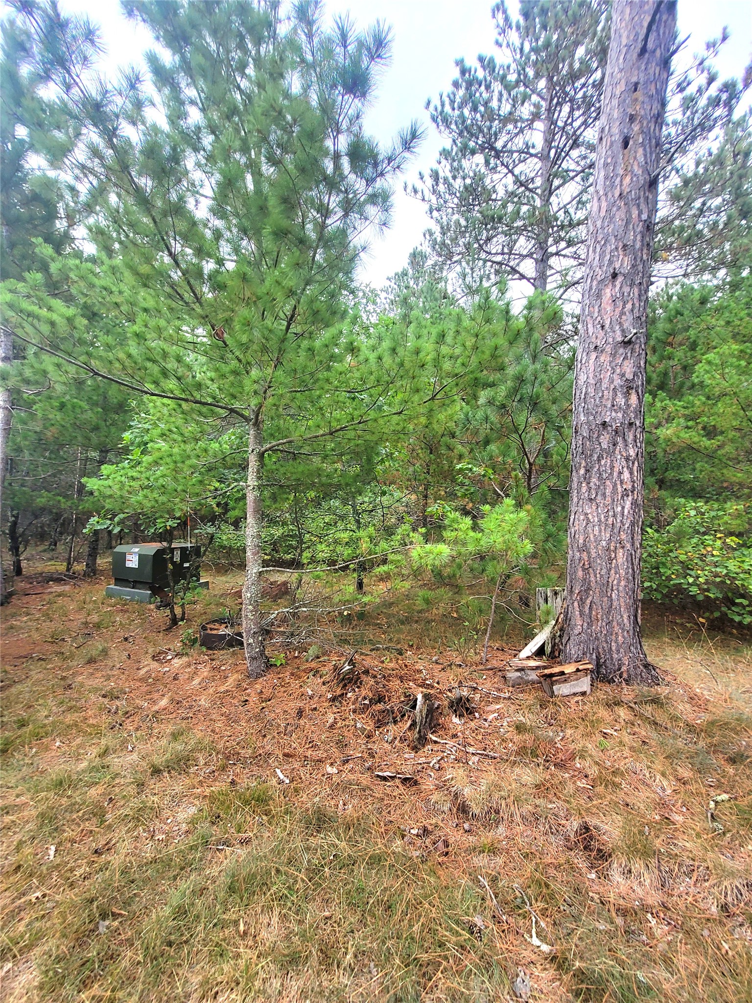 0 Blueberry Road Property Photo 29